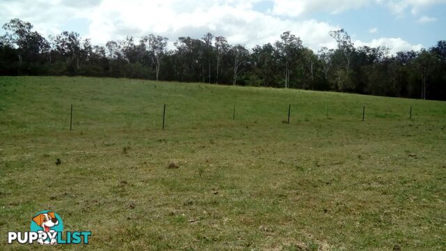 510 Promisedland Road Promisedland QLD 4660