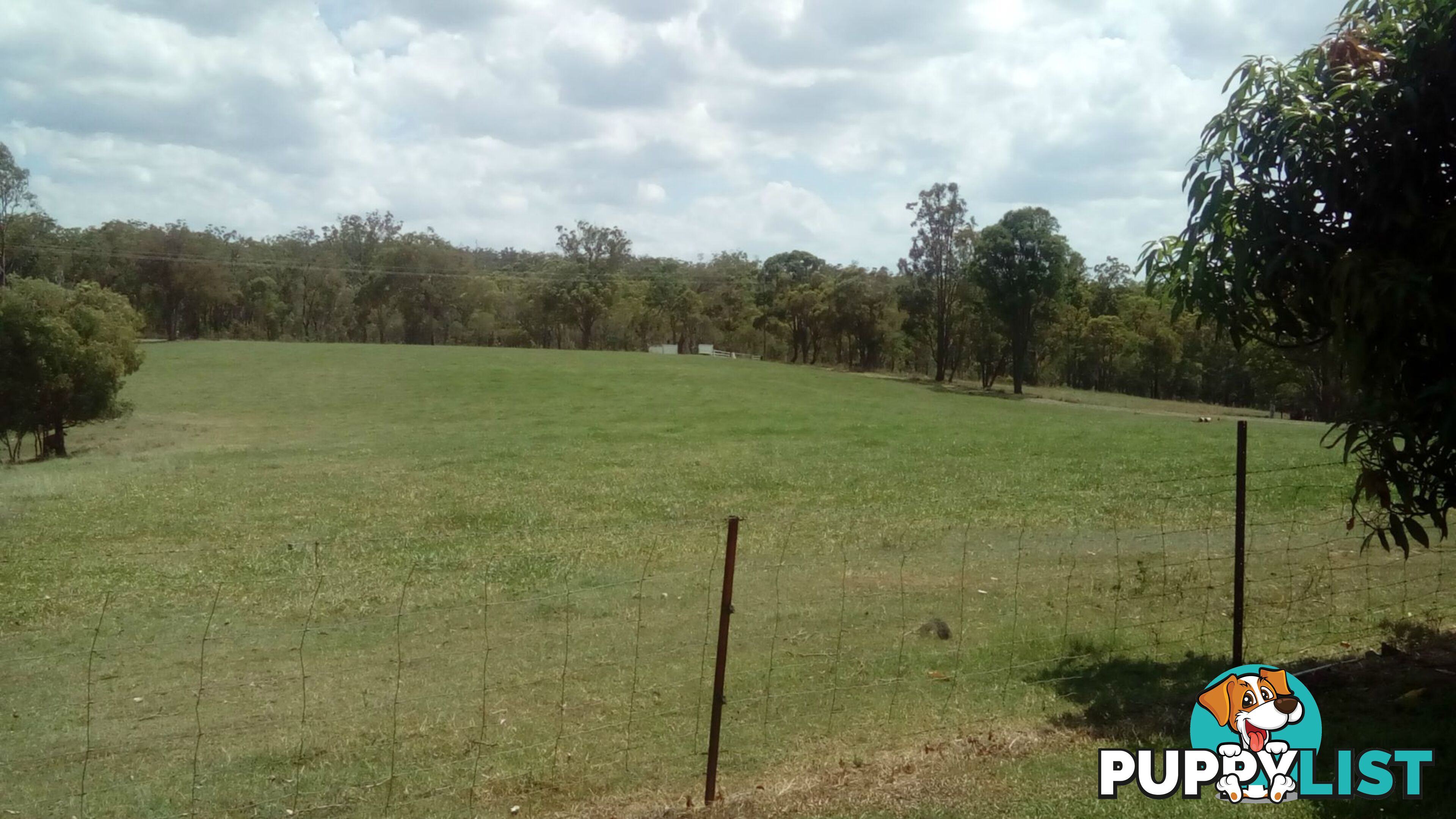 510 Promisedland Road Promisedland QLD 4660