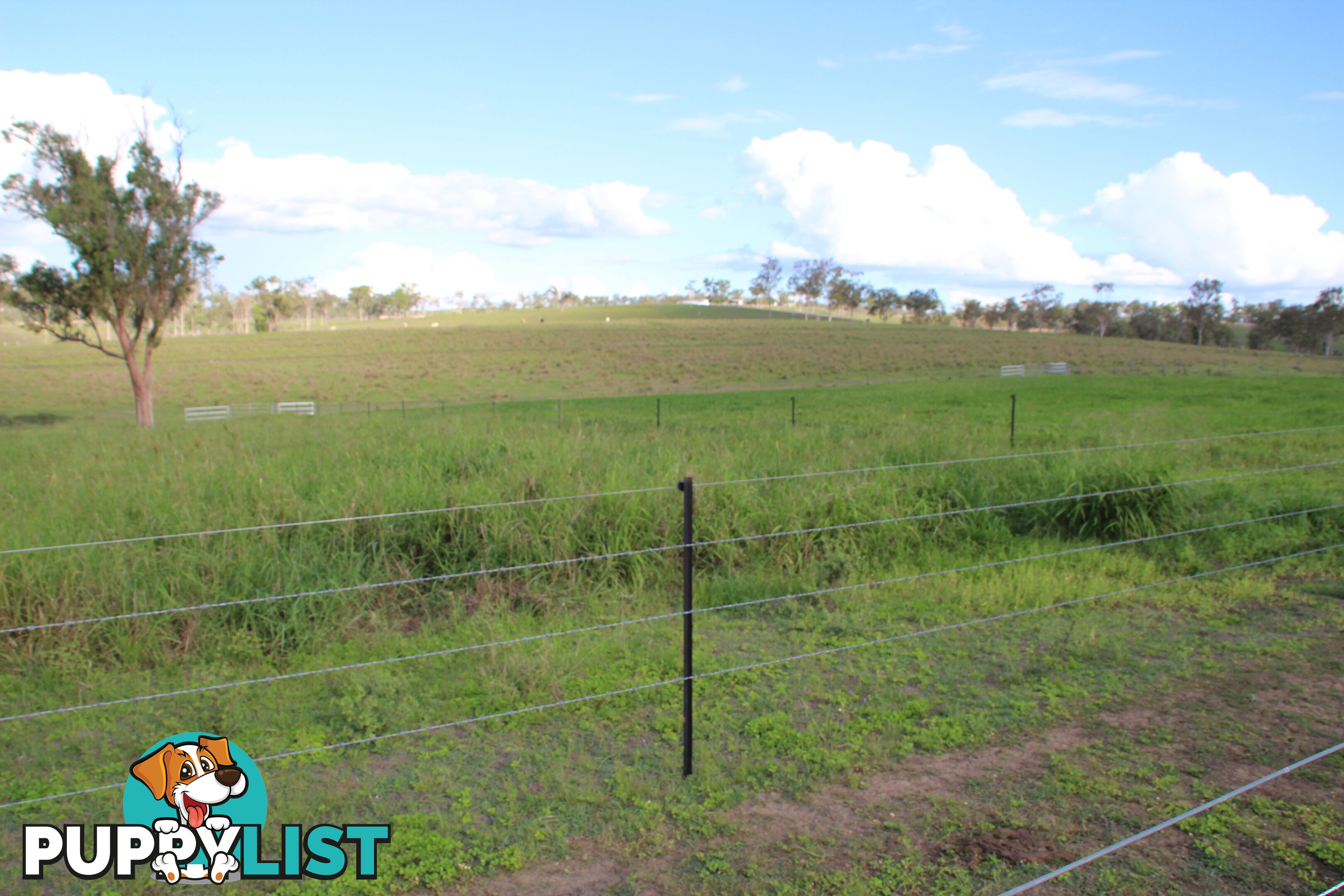 722 Railway Rd Booyal QLD 4671