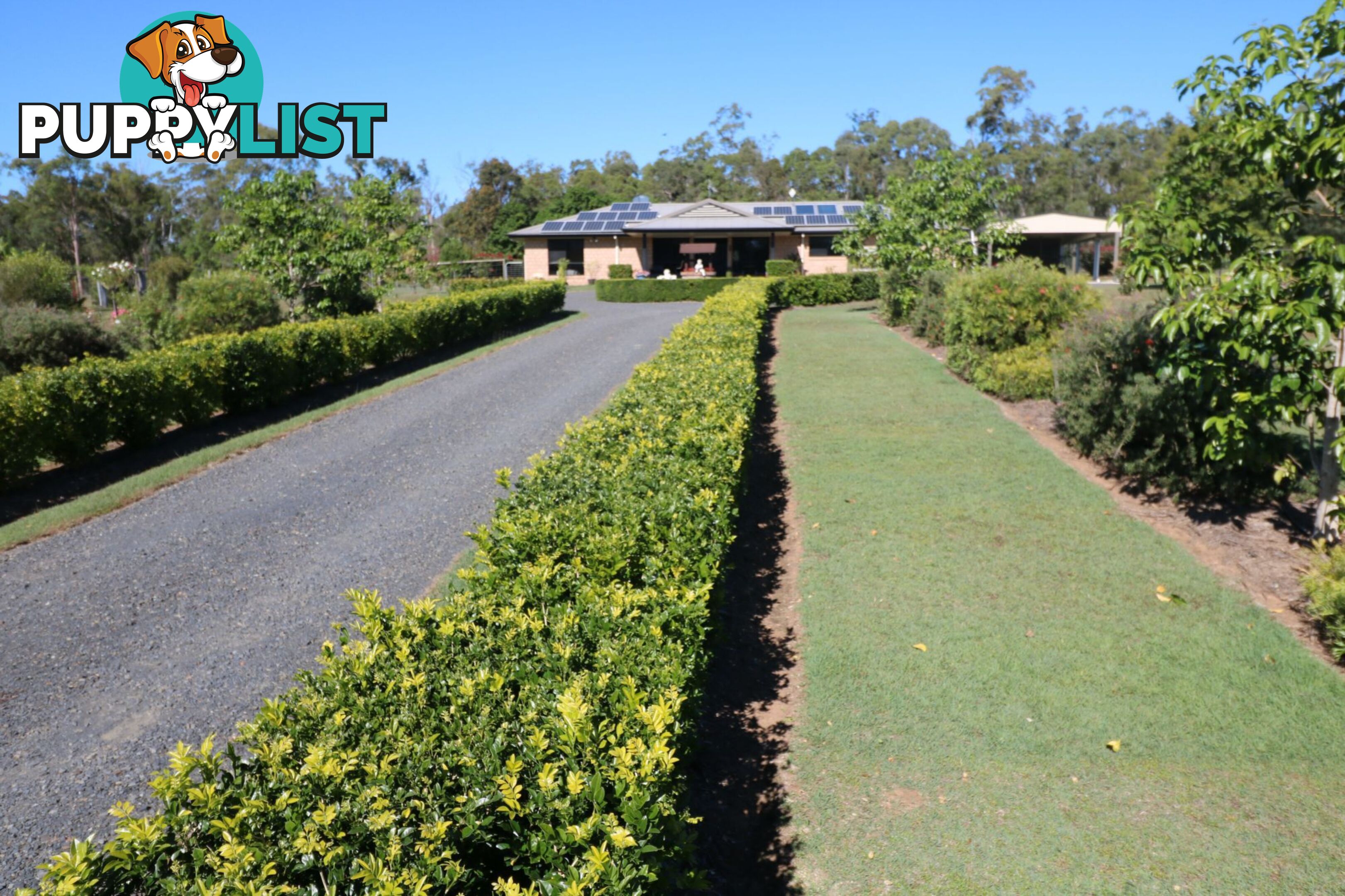 113 Park Avenue North Isis QLD 4660