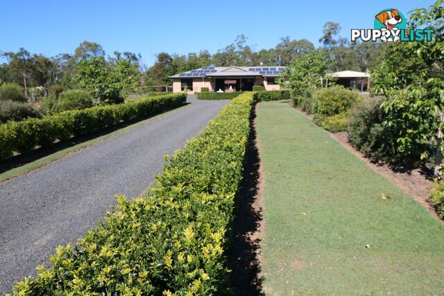 113 Park Avenue North Isis QLD 4660