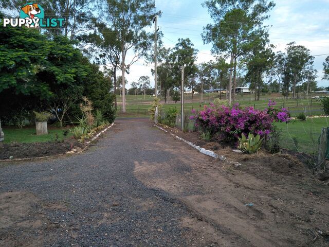 31 Warreners Rd Cordalba QLD 4660