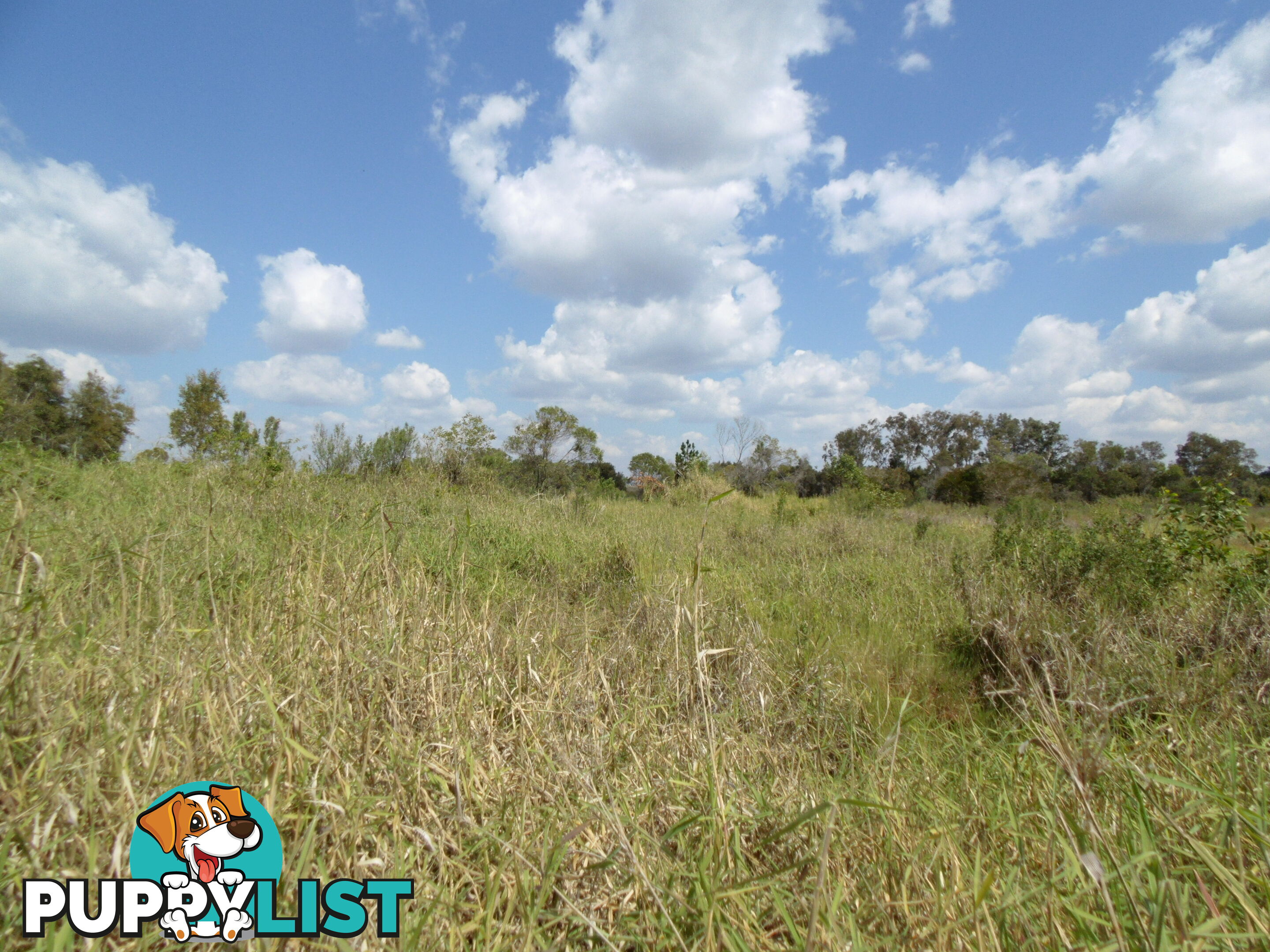 Lot 12 Mill Rd Cordalba QLD 4660