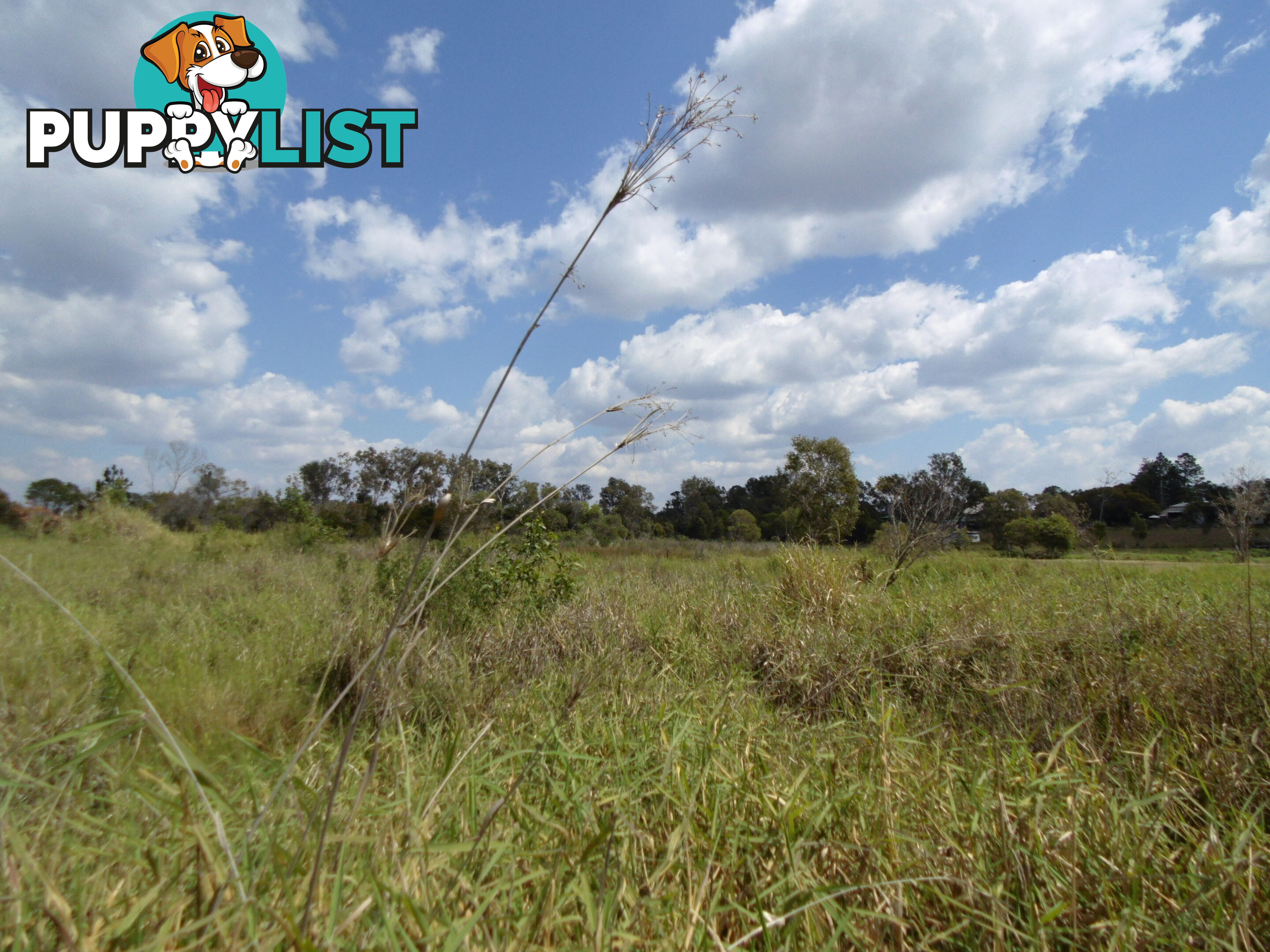 Lot 12 Mill Rd Cordalba QLD 4660