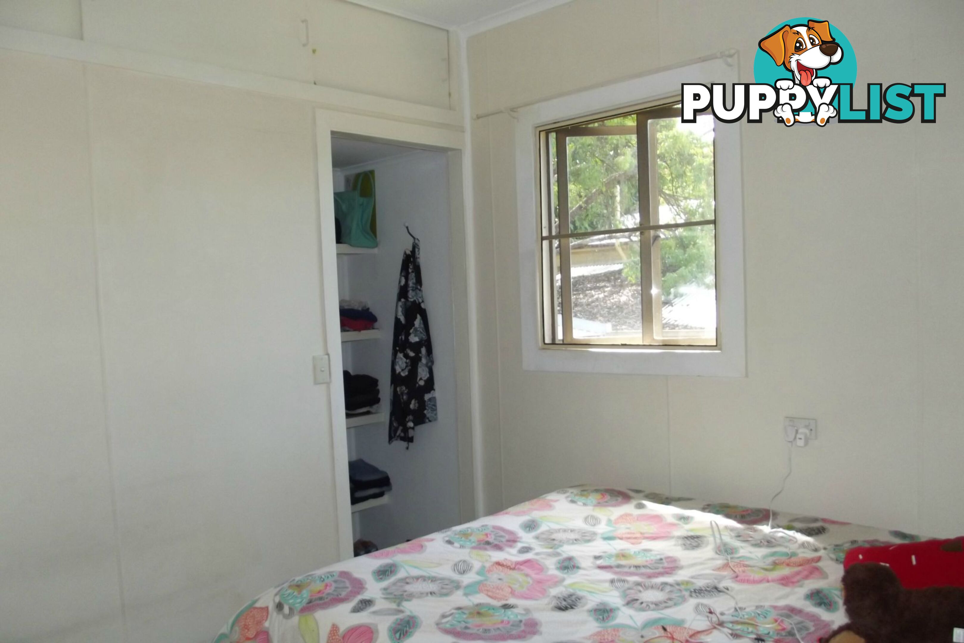 5 Pizzey Street Childers QLD 4660