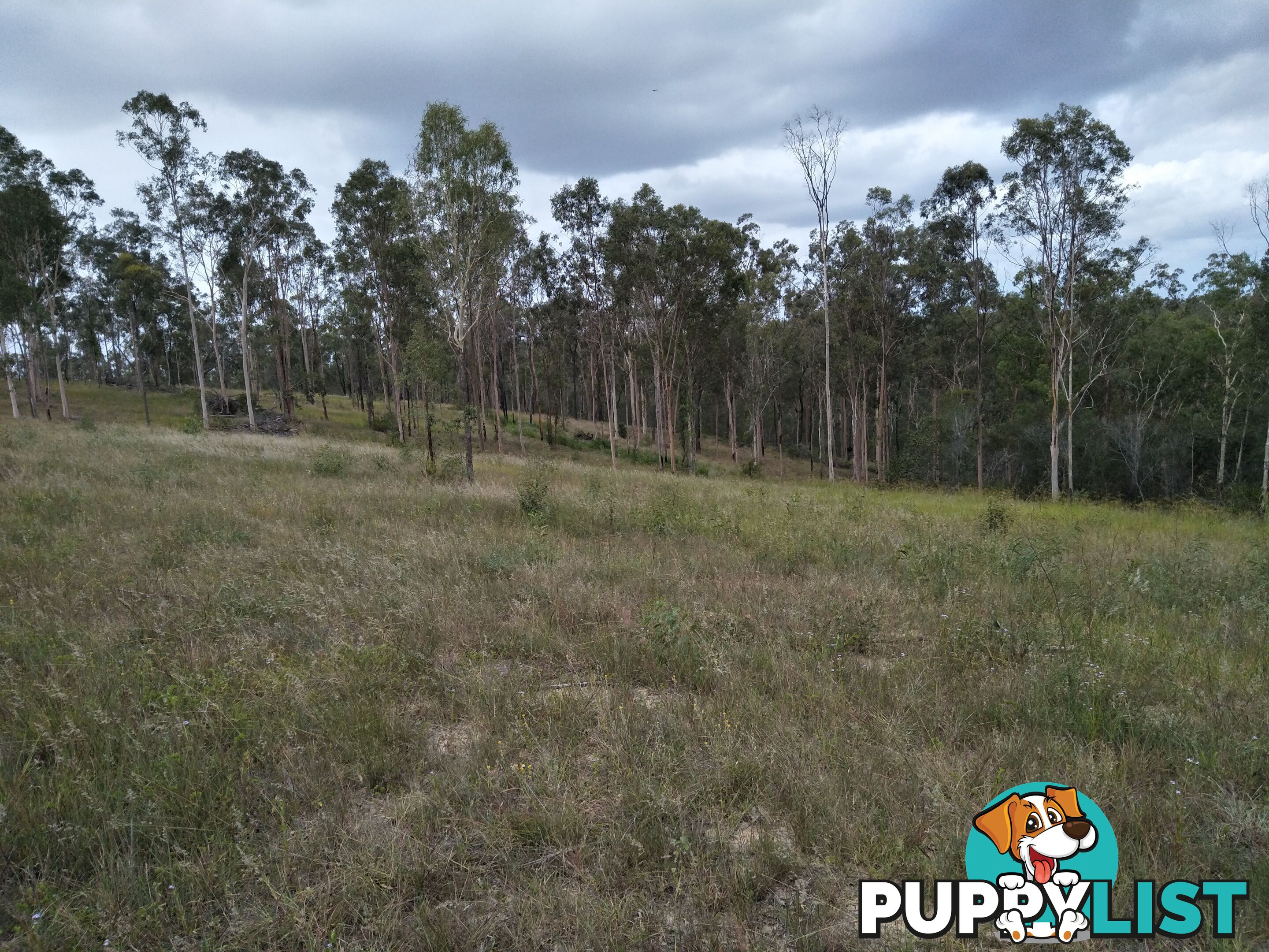 345 Berries Road Kullogum QLD 4660
