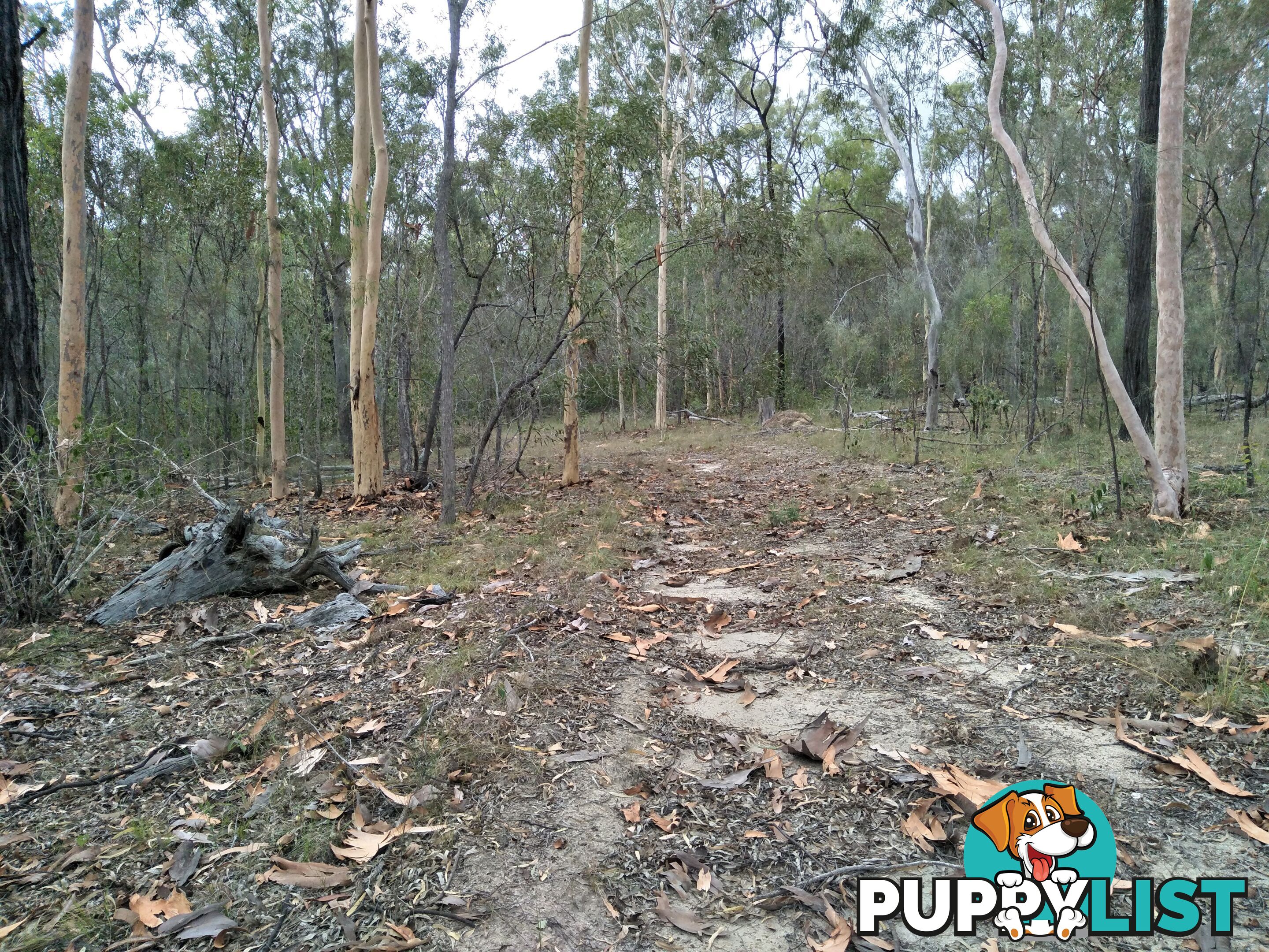 345 Berries Road Kullogum QLD 4660