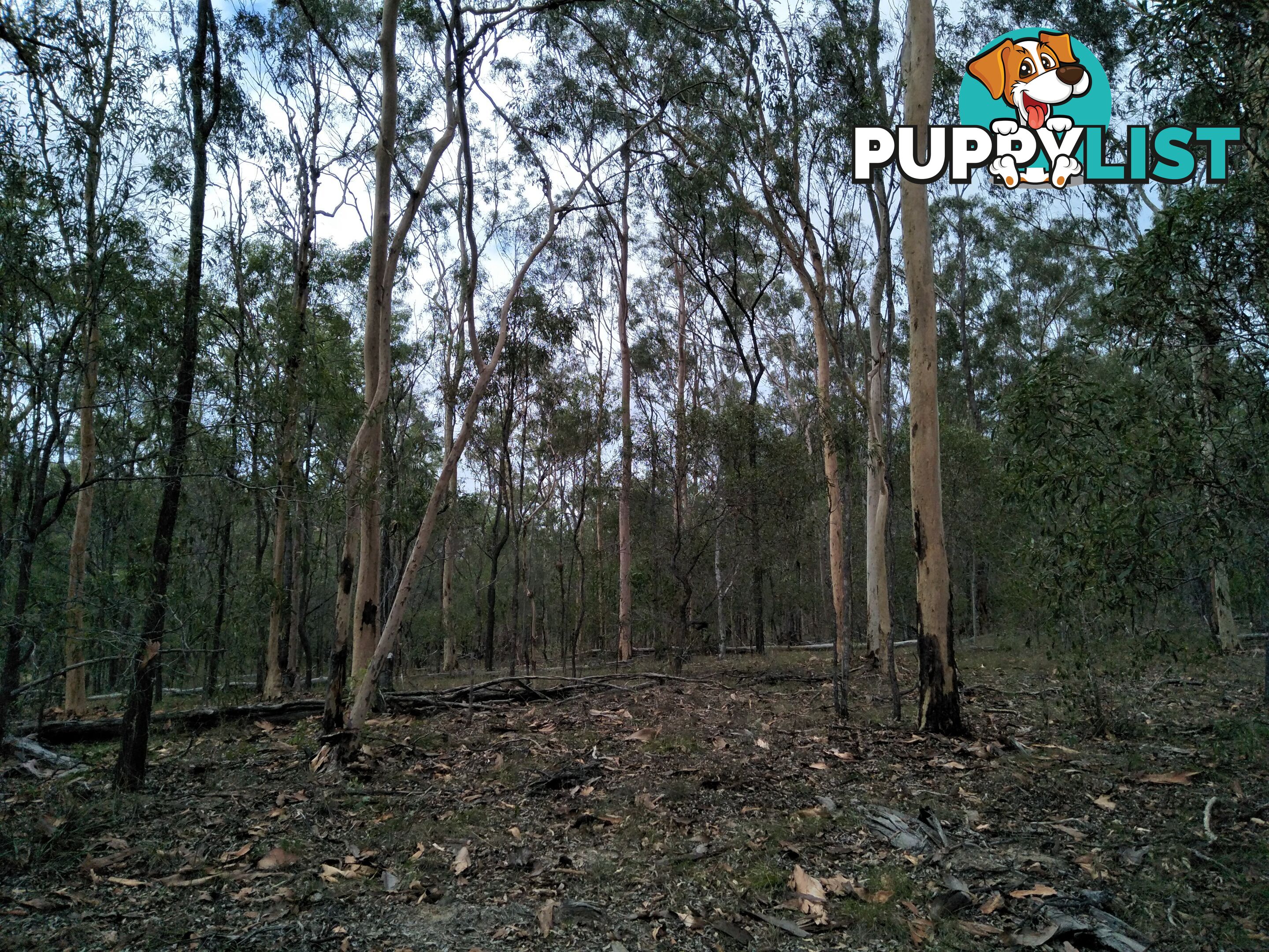 345 Berries Road Kullogum QLD 4660