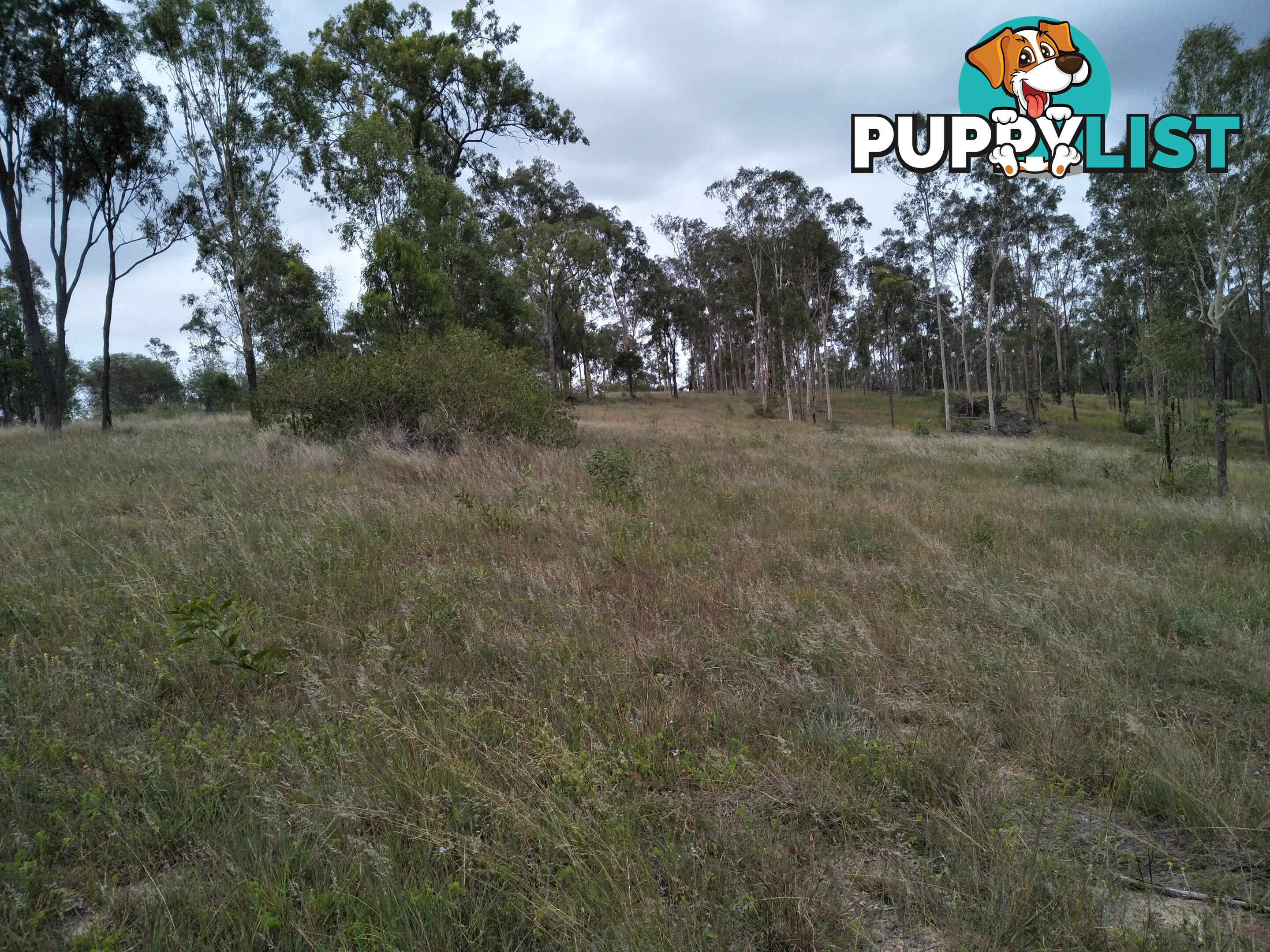 345 Berries Road Kullogum QLD 4660