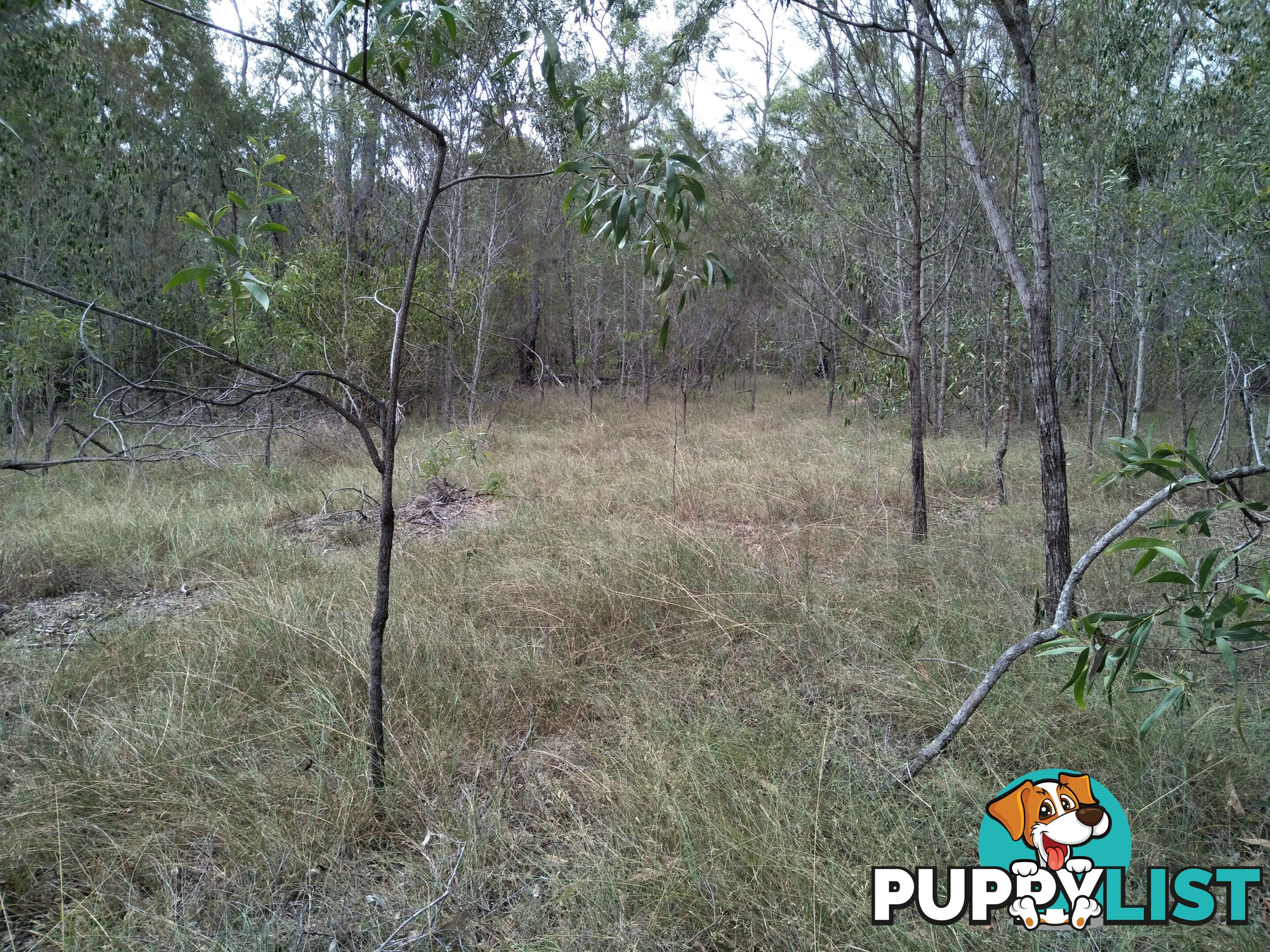 345 Berries Road Kullogum QLD 4660