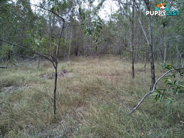 345 Berries Road Kullogum QLD 4660