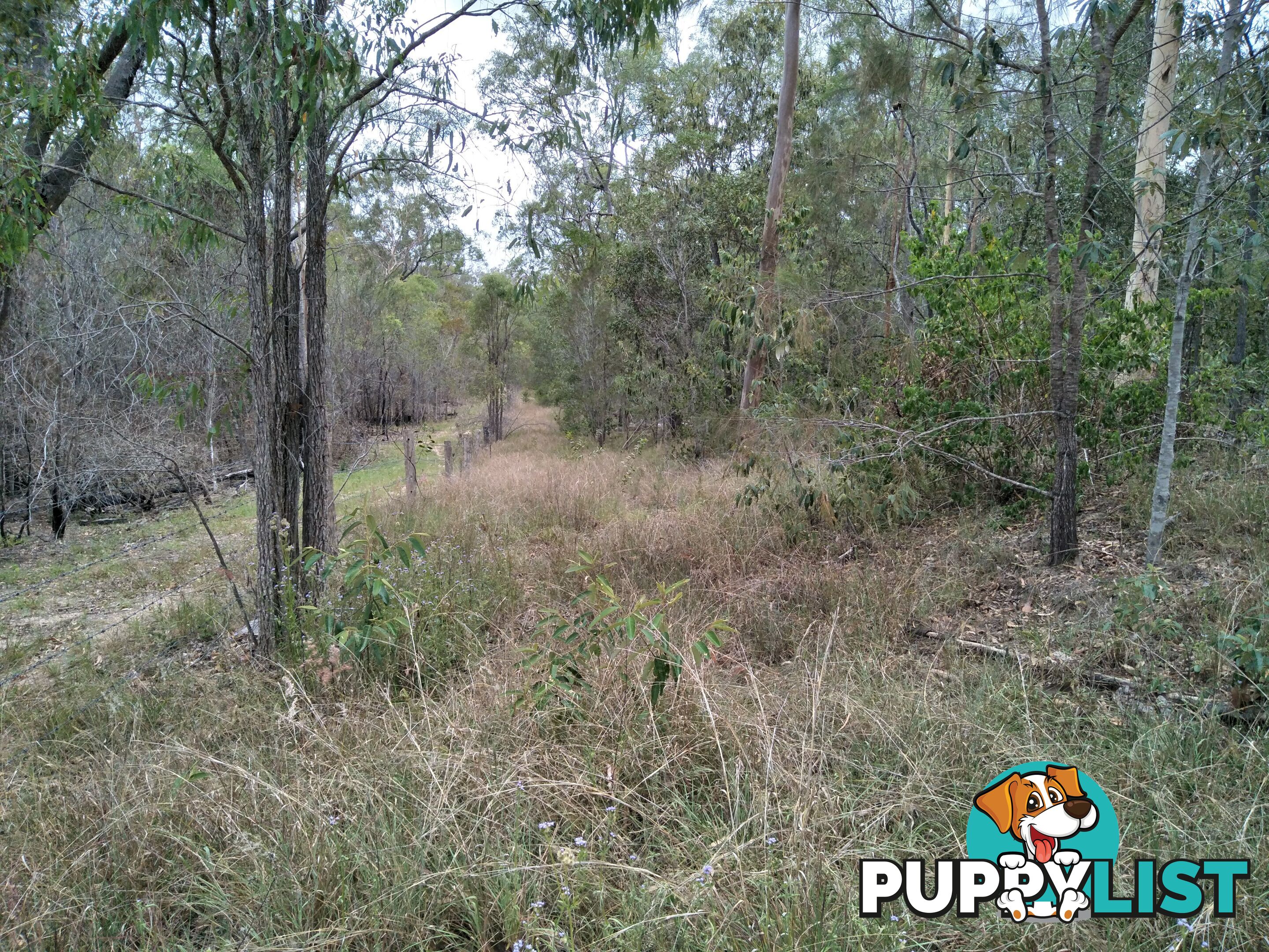 345 Berries Road Kullogum QLD 4660