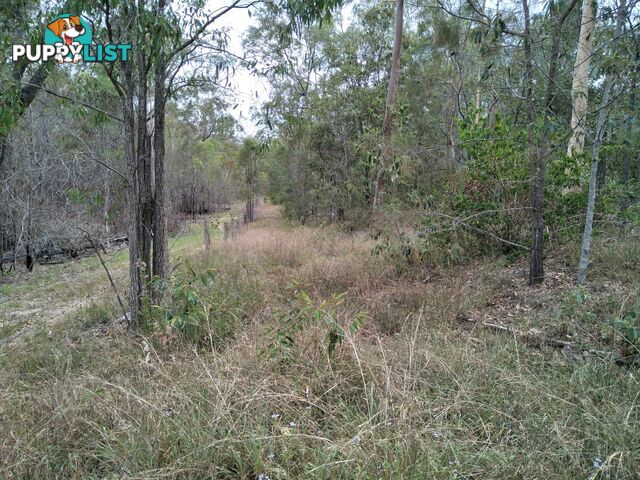 345 Berries Road Kullogum QLD 4660