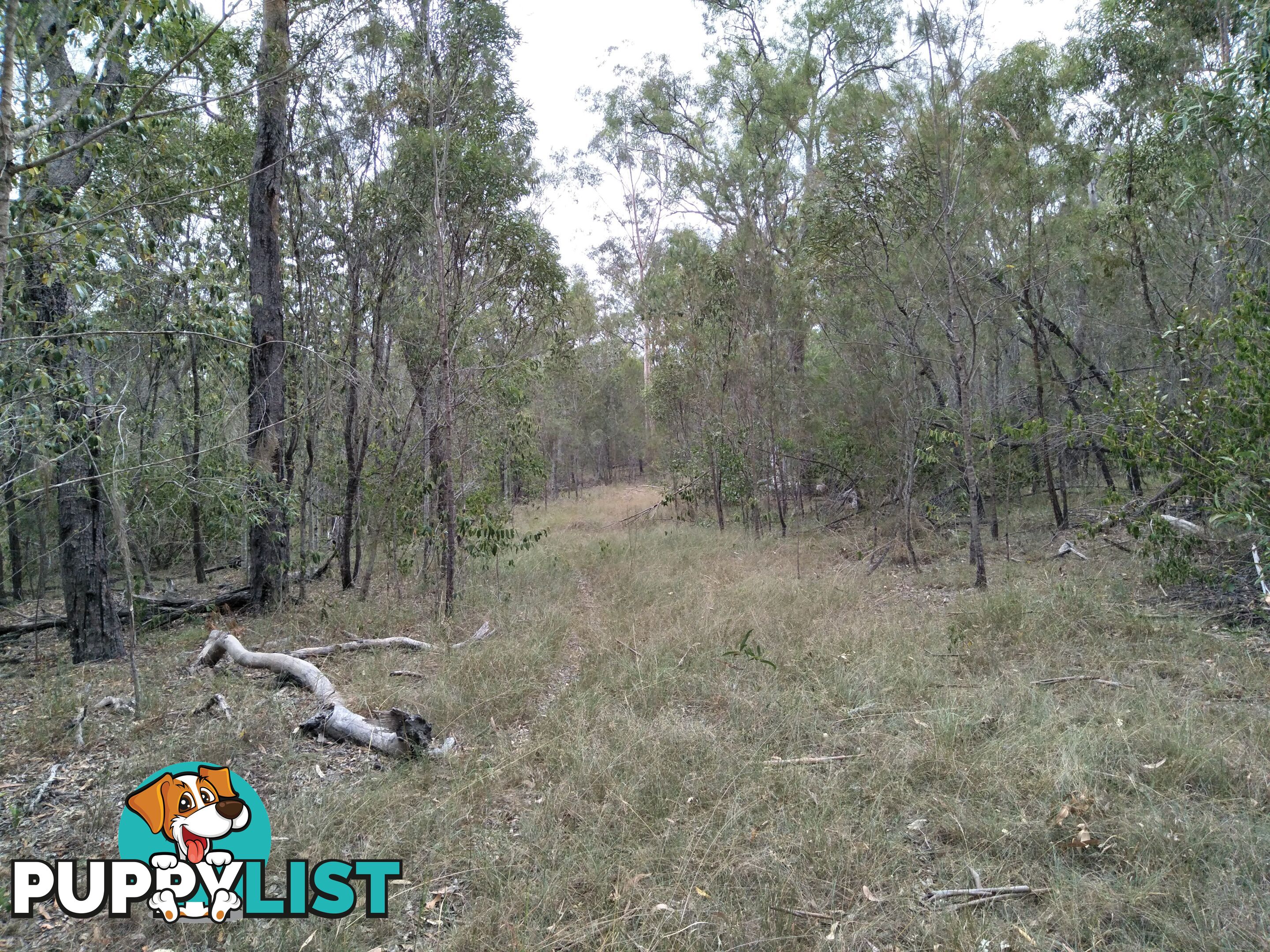 345 Berries Road Kullogum QLD 4660
