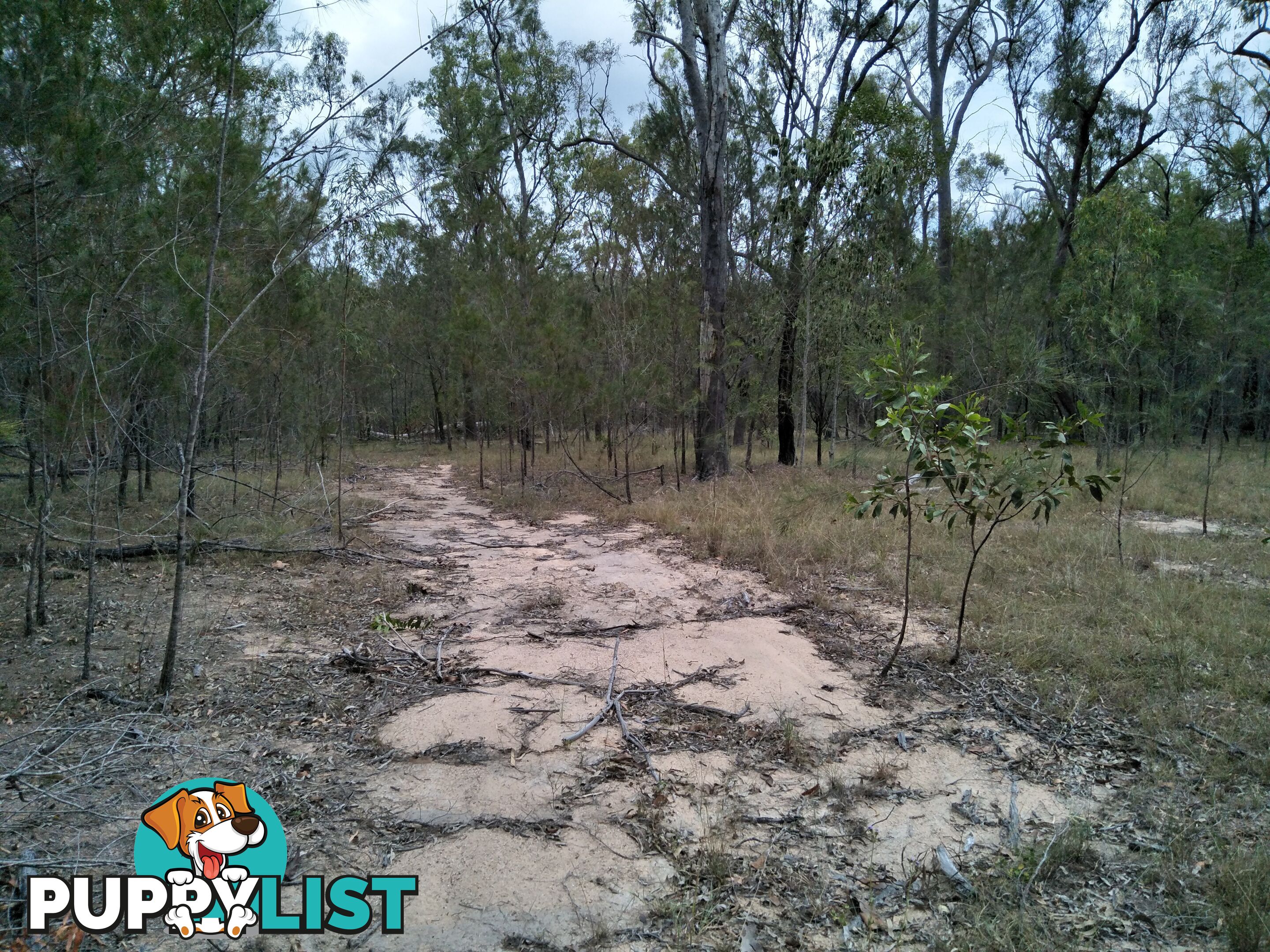 345 Berries Road Kullogum QLD 4660