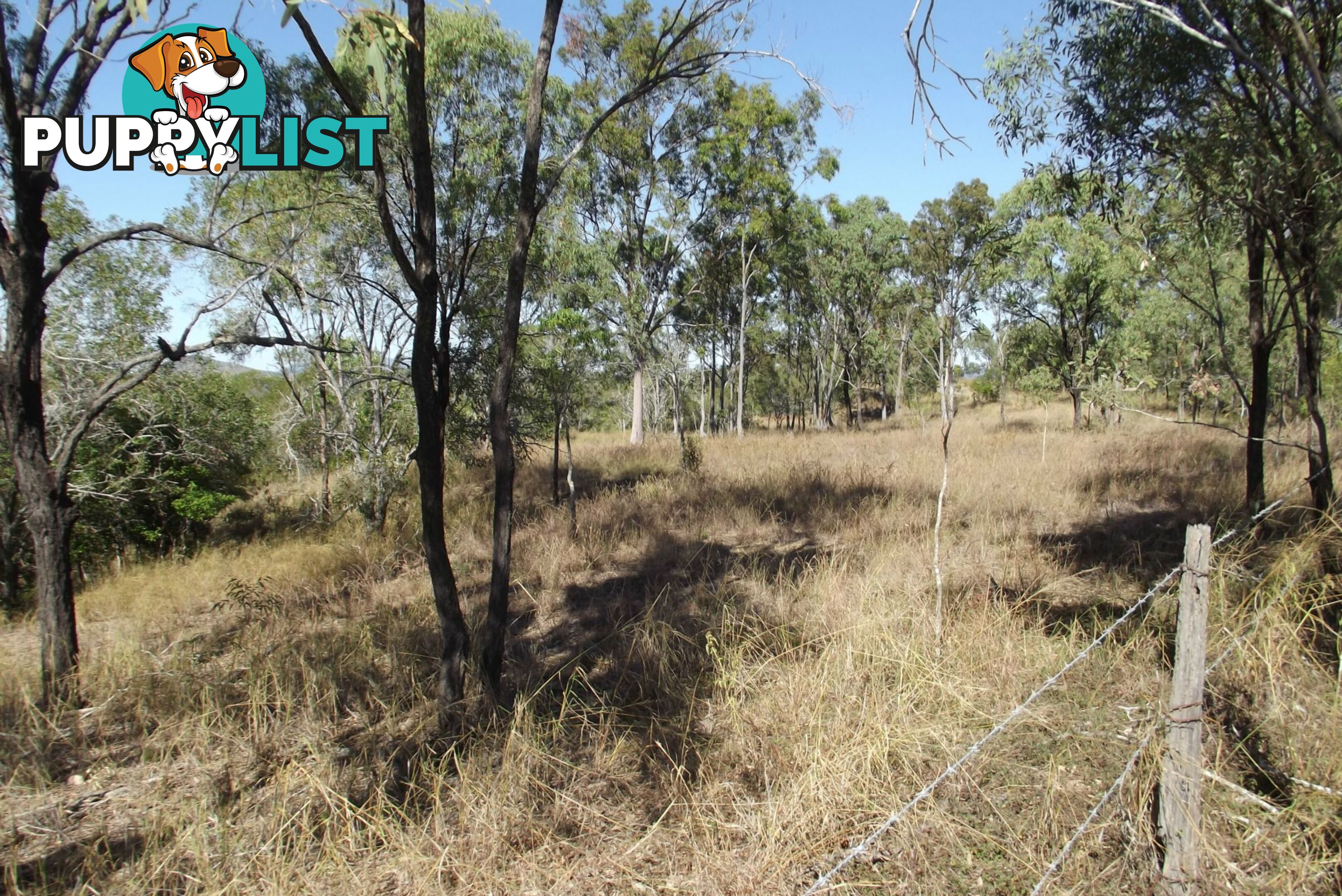 Lot 1 Coringa Hills Road Coringa QLD 4621