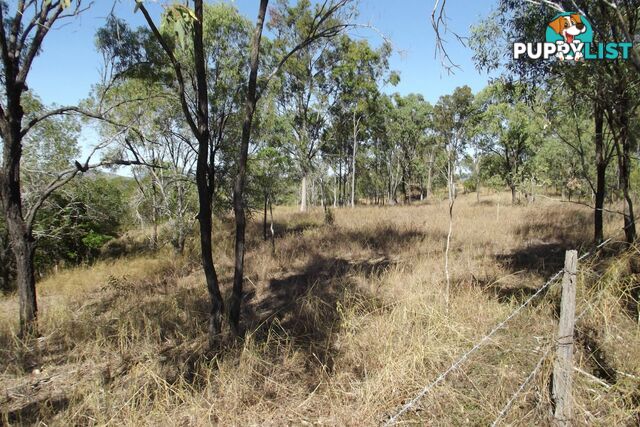 Lot 1 Coringa Hills Road Coringa QLD 4621