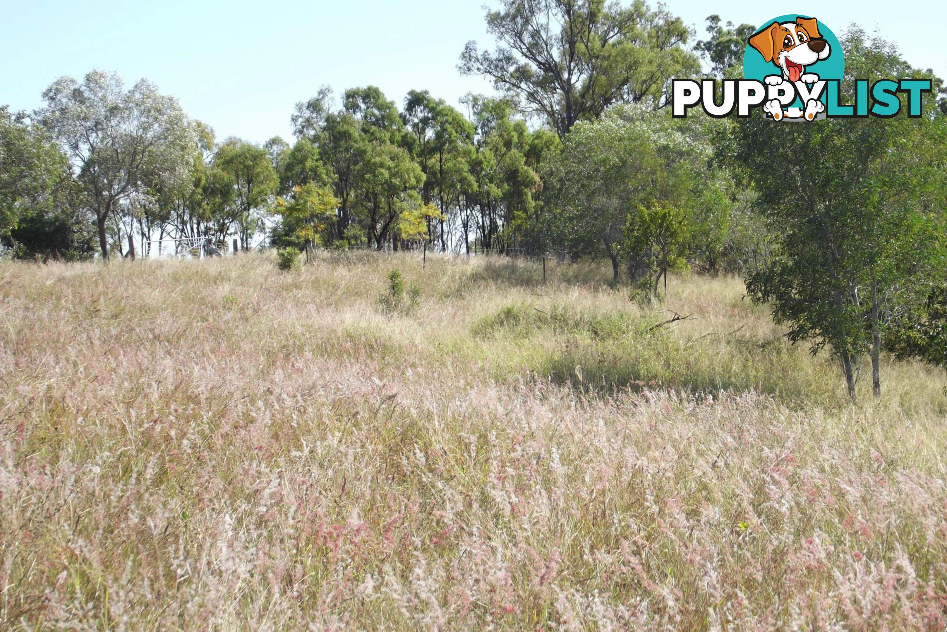 Lot 1 Coringa Hills Road Coringa QLD 4621