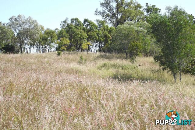 Lot 1 Coringa Hills Road Coringa QLD 4621