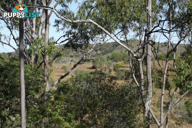 Lot 1 Coringa Hills Road Coringa QLD 4621