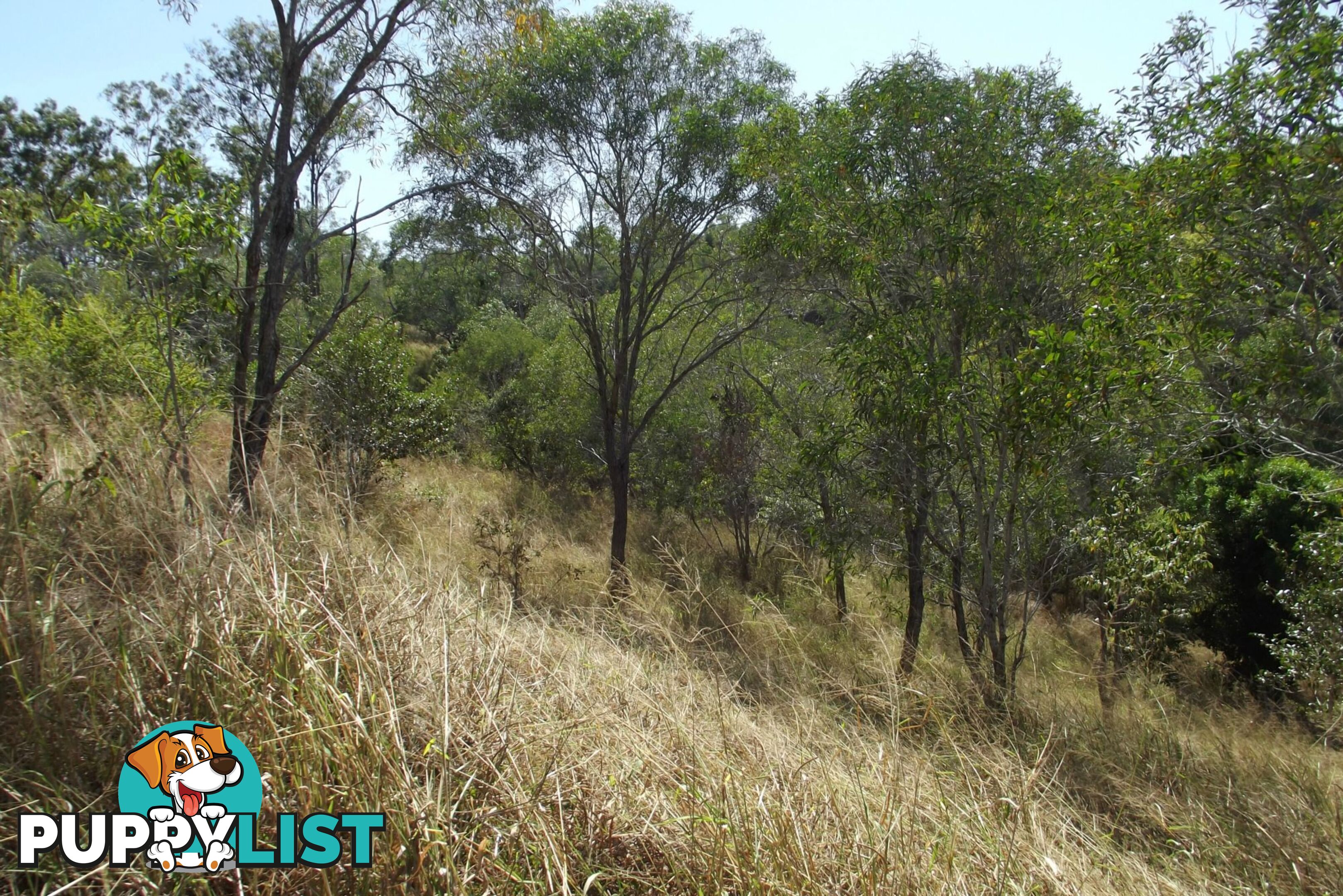 Lot 1 Coringa Hills Road Coringa QLD 4621