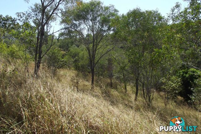 Lot 1 Coringa Hills Road Coringa QLD 4621