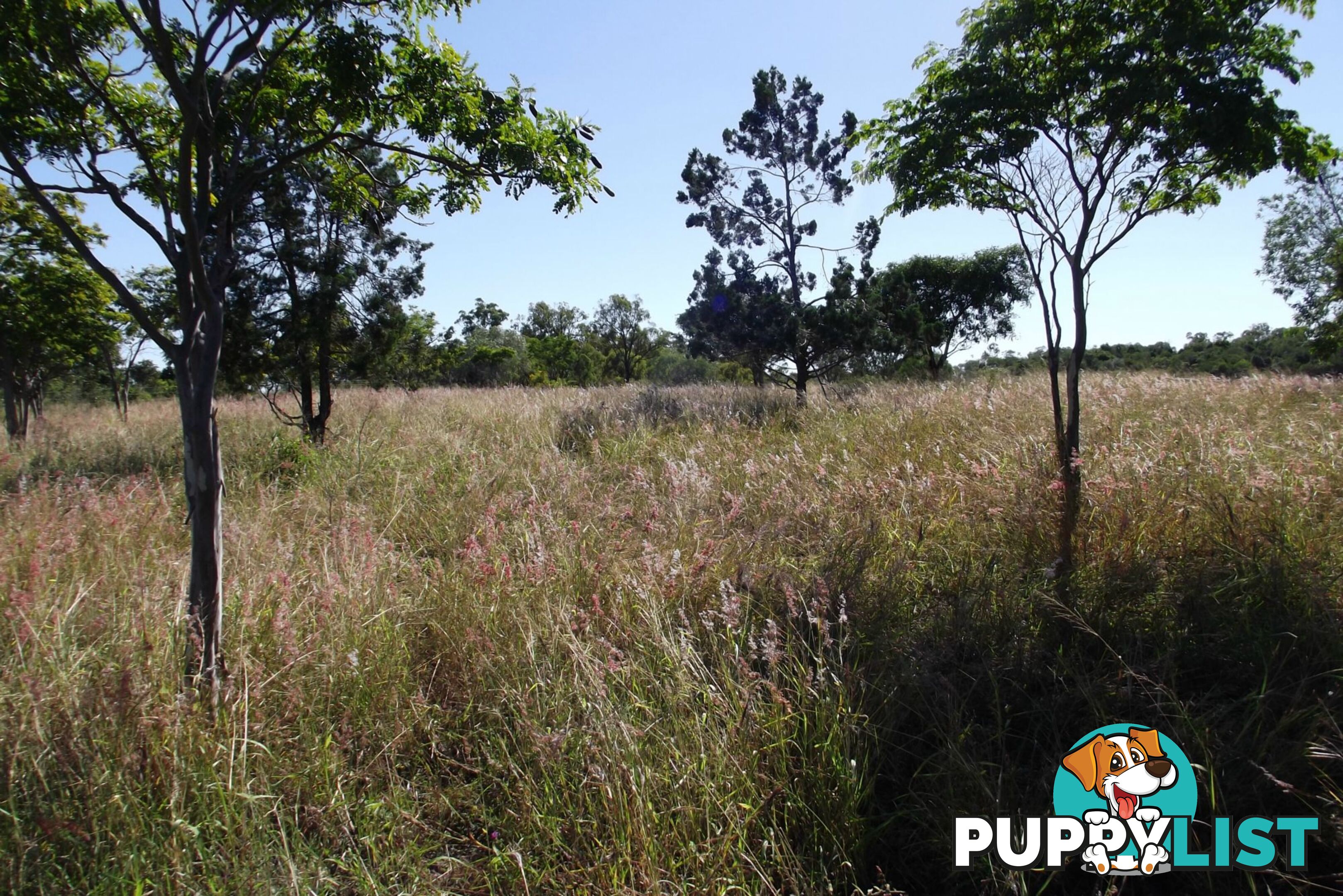 Lot 1 Coringa Hills Road Coringa QLD 4621