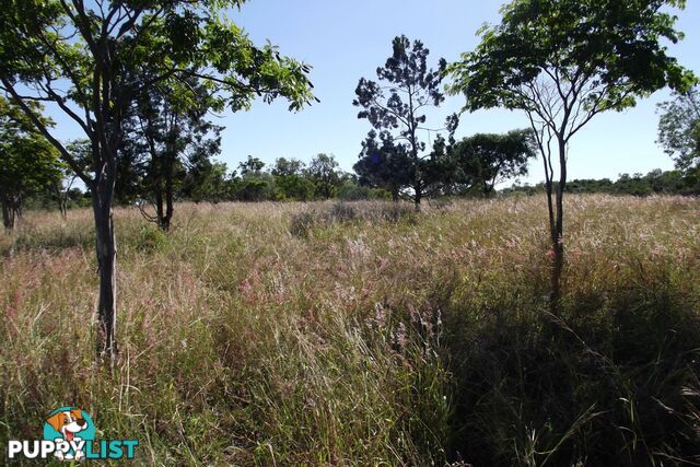 Lot 1 Coringa Hills Road Coringa QLD 4621