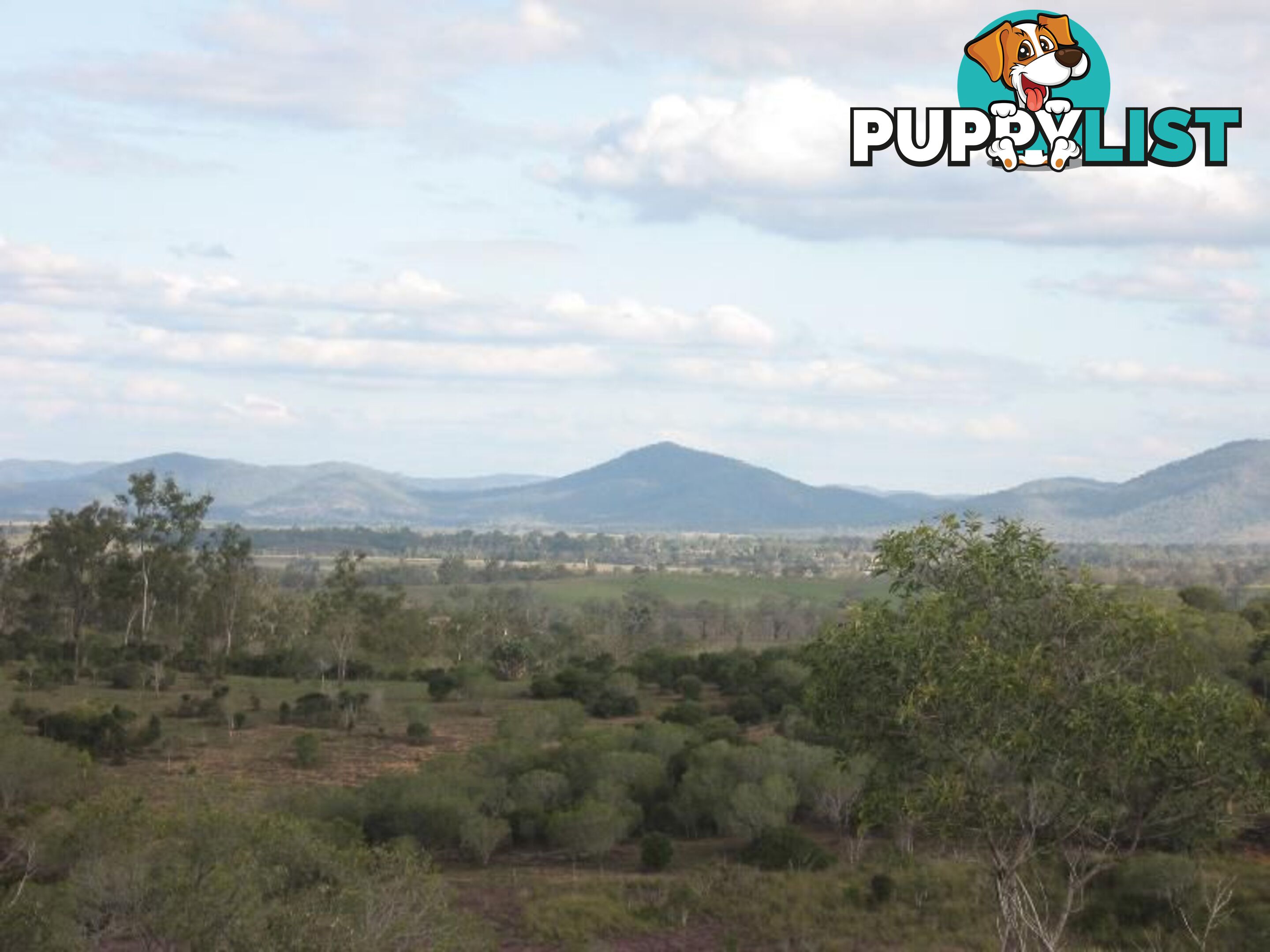 Lot 1 Coringa Hills Road Coringa QLD 4621