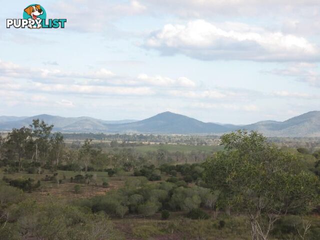 Lot 1 Coringa Hills Road Coringa QLD 4621