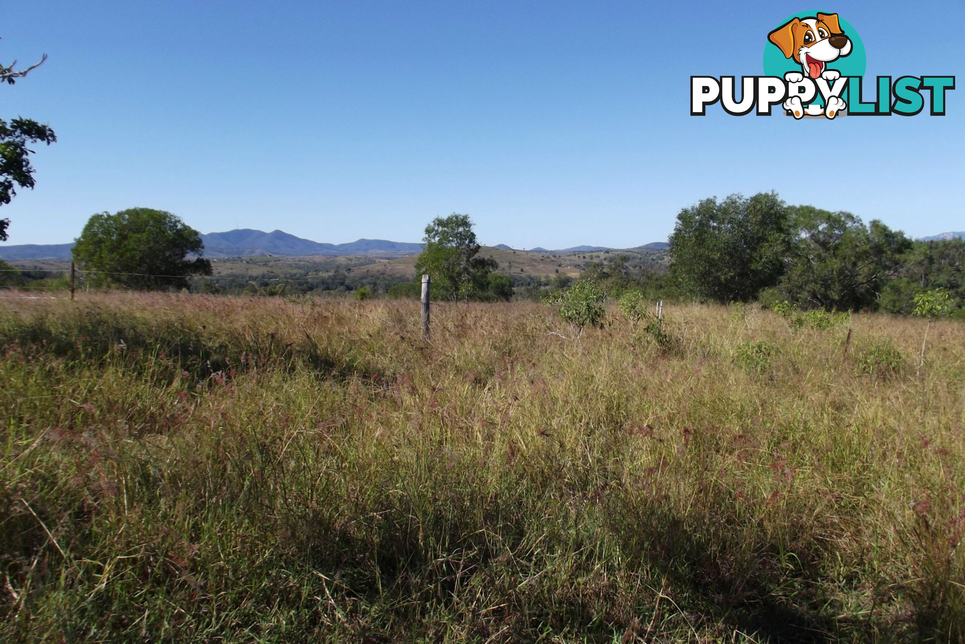 Lot 1 Coringa Hills Road Coringa QLD 4621