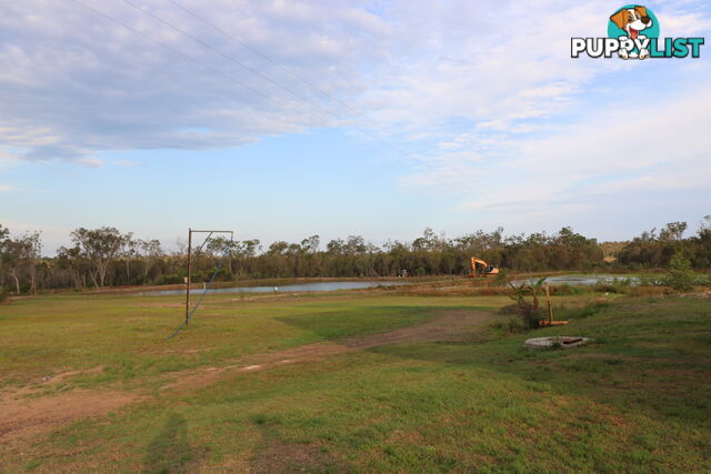 Abington QLD 4660