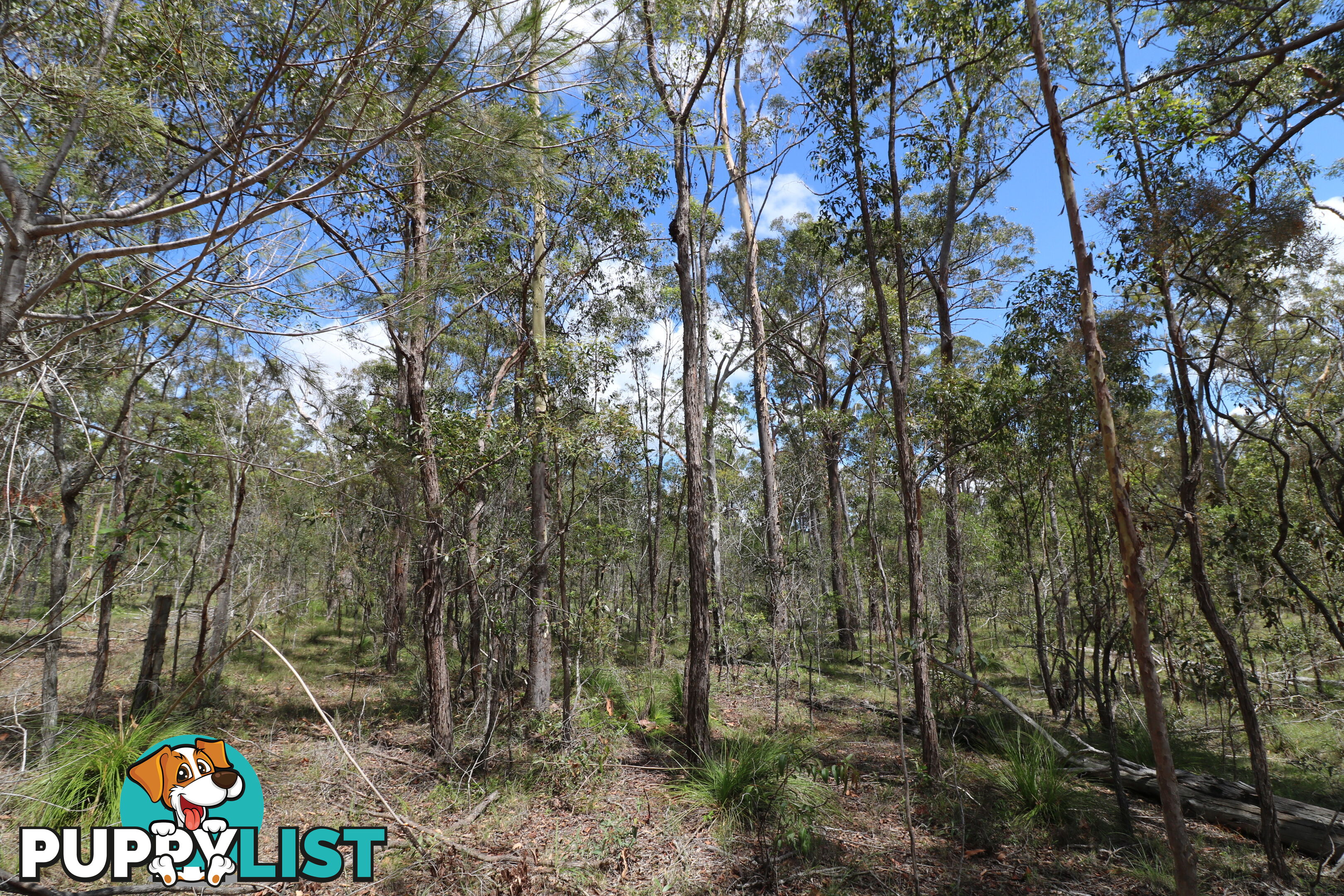 Lot 47 Mullers Rd Redridge QLD 4660