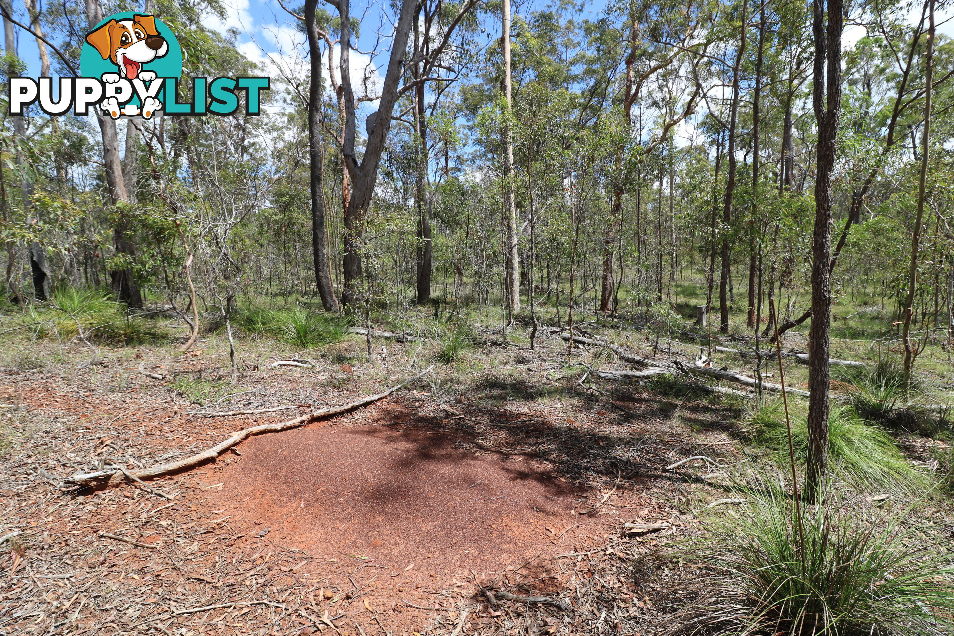 Lot 47 Mullers Rd Redridge QLD 4660