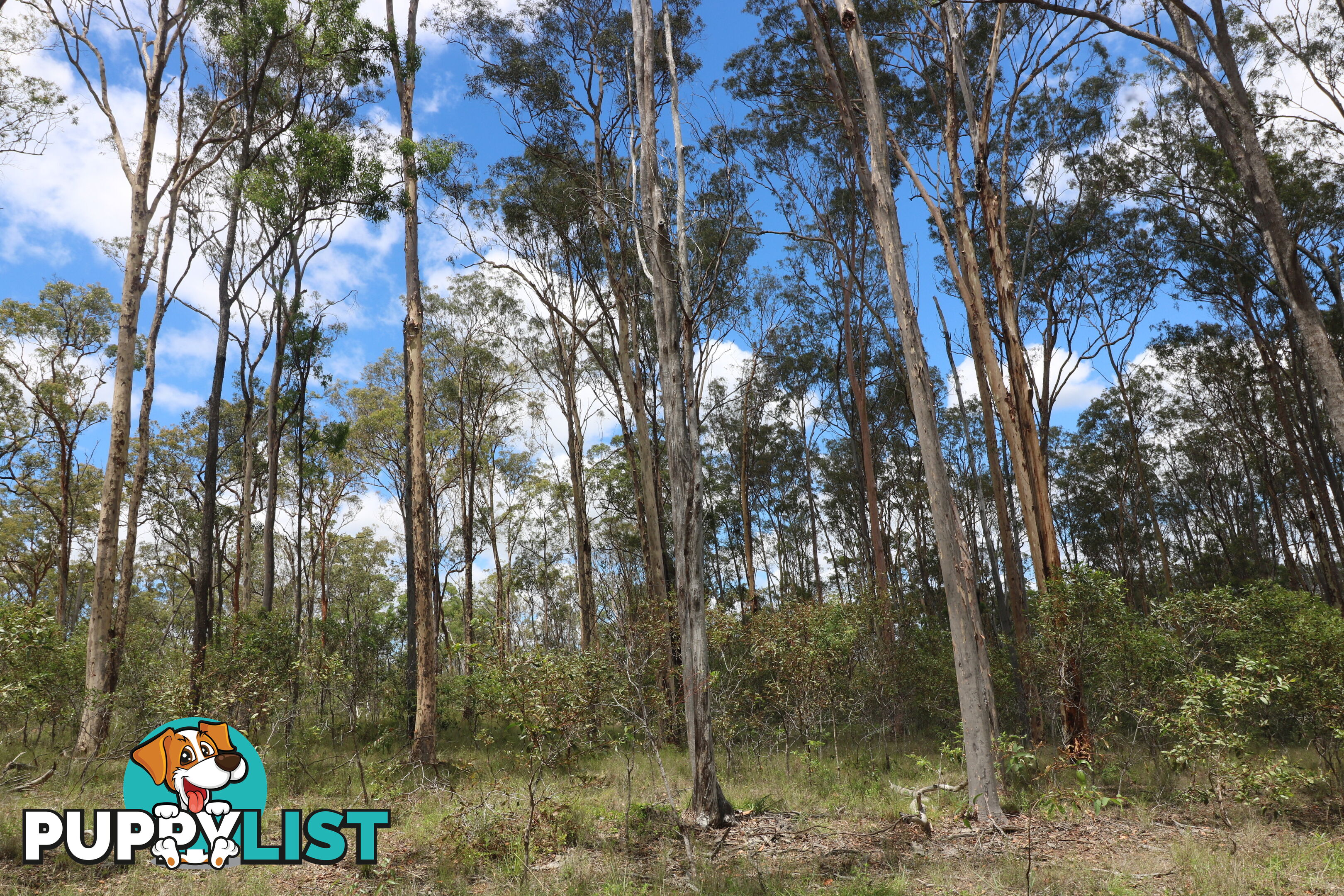 Lot 47 Mullers Rd Redridge QLD 4660