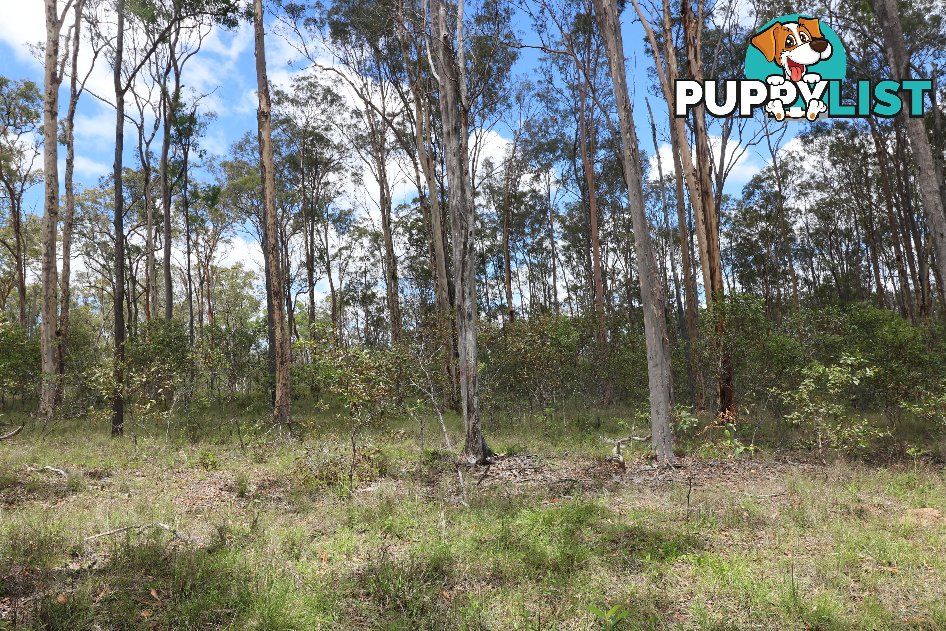 Lot 47 Mullers Rd Redridge QLD 4660