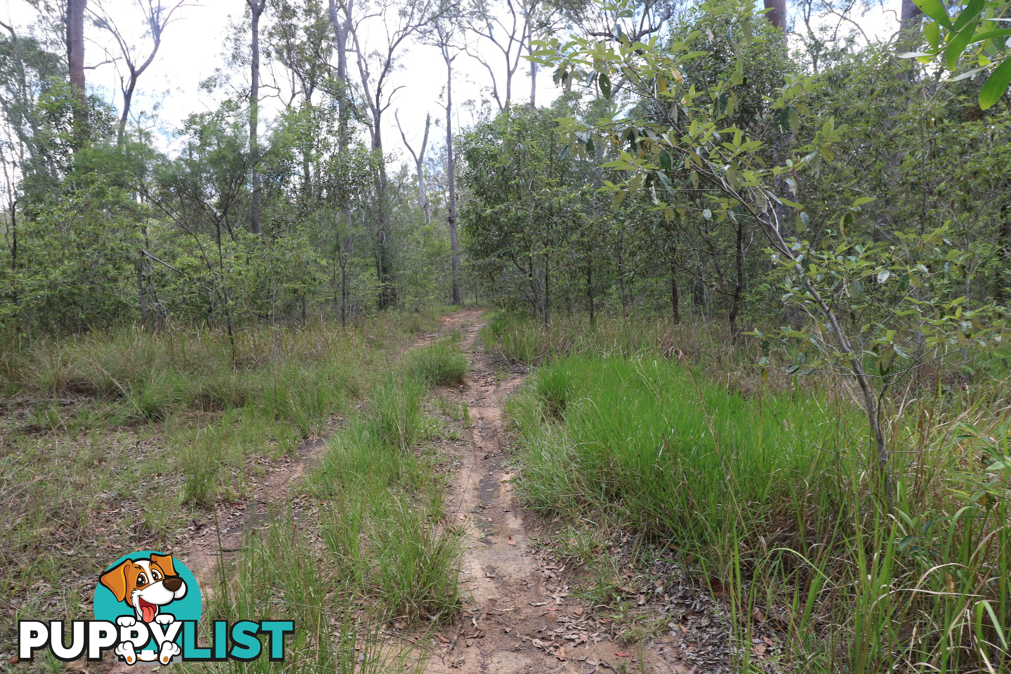 Lot 47 Mullers Rd Redridge QLD 4660