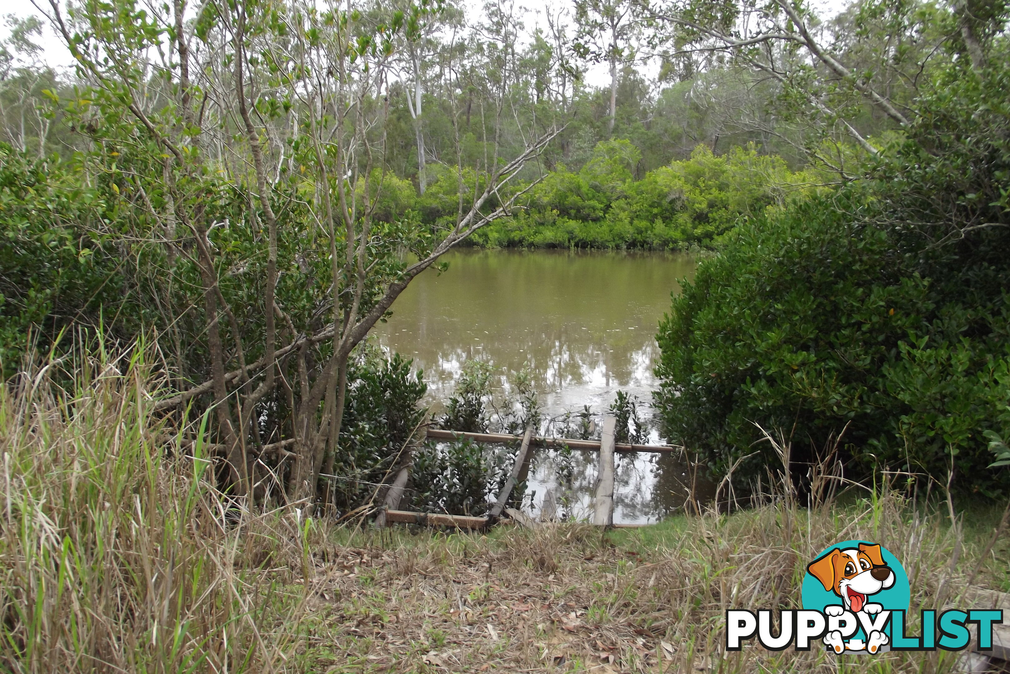 60 Postmans Crossing Rd Isis River QLD 4660