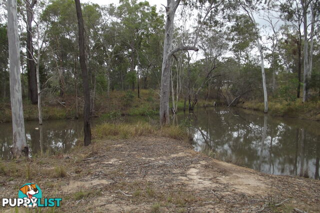 60 Postmans Crossing Rd Isis River QLD 4660