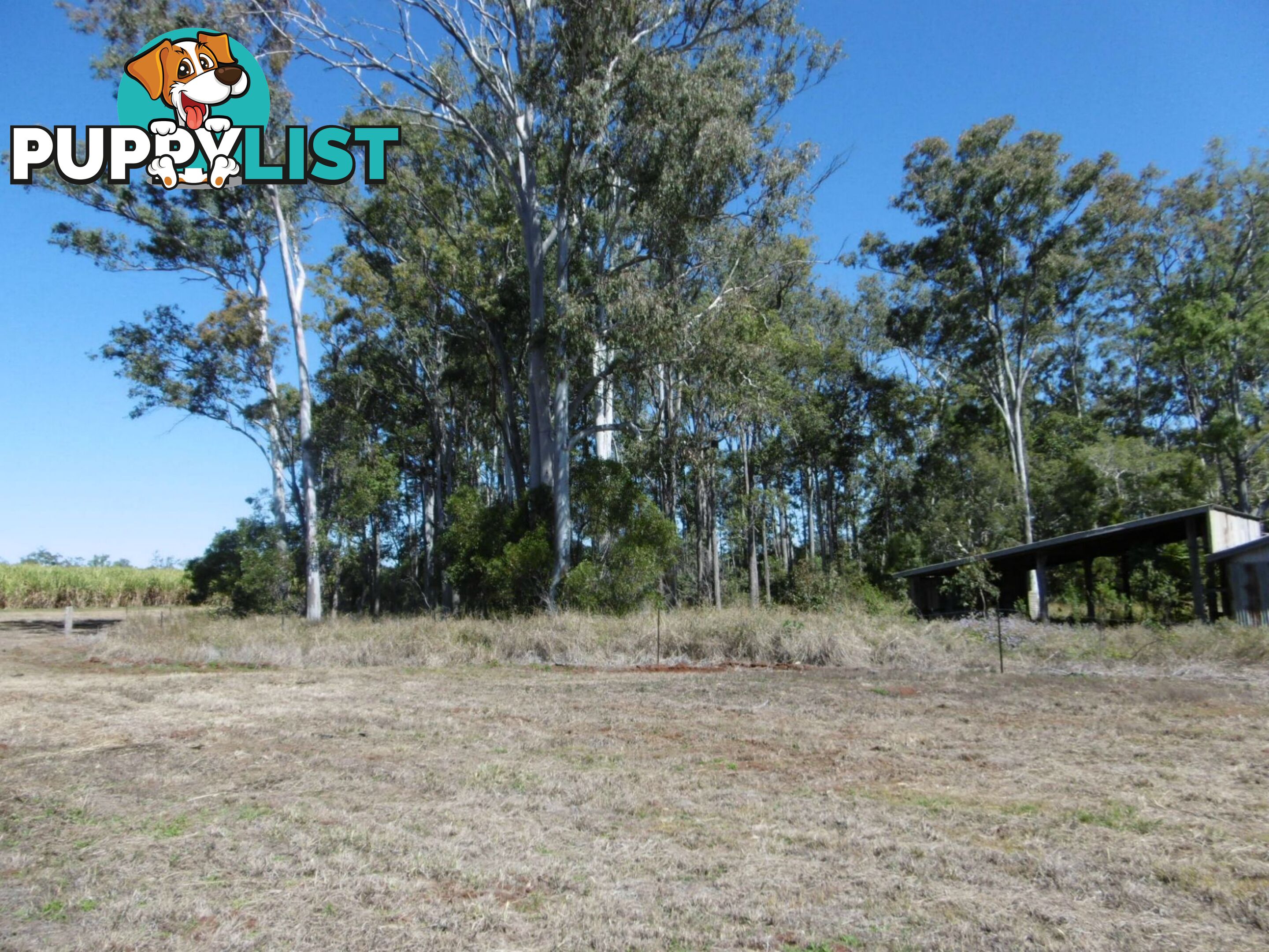 Lot 51 Mullers Road Redridge QLD 4660