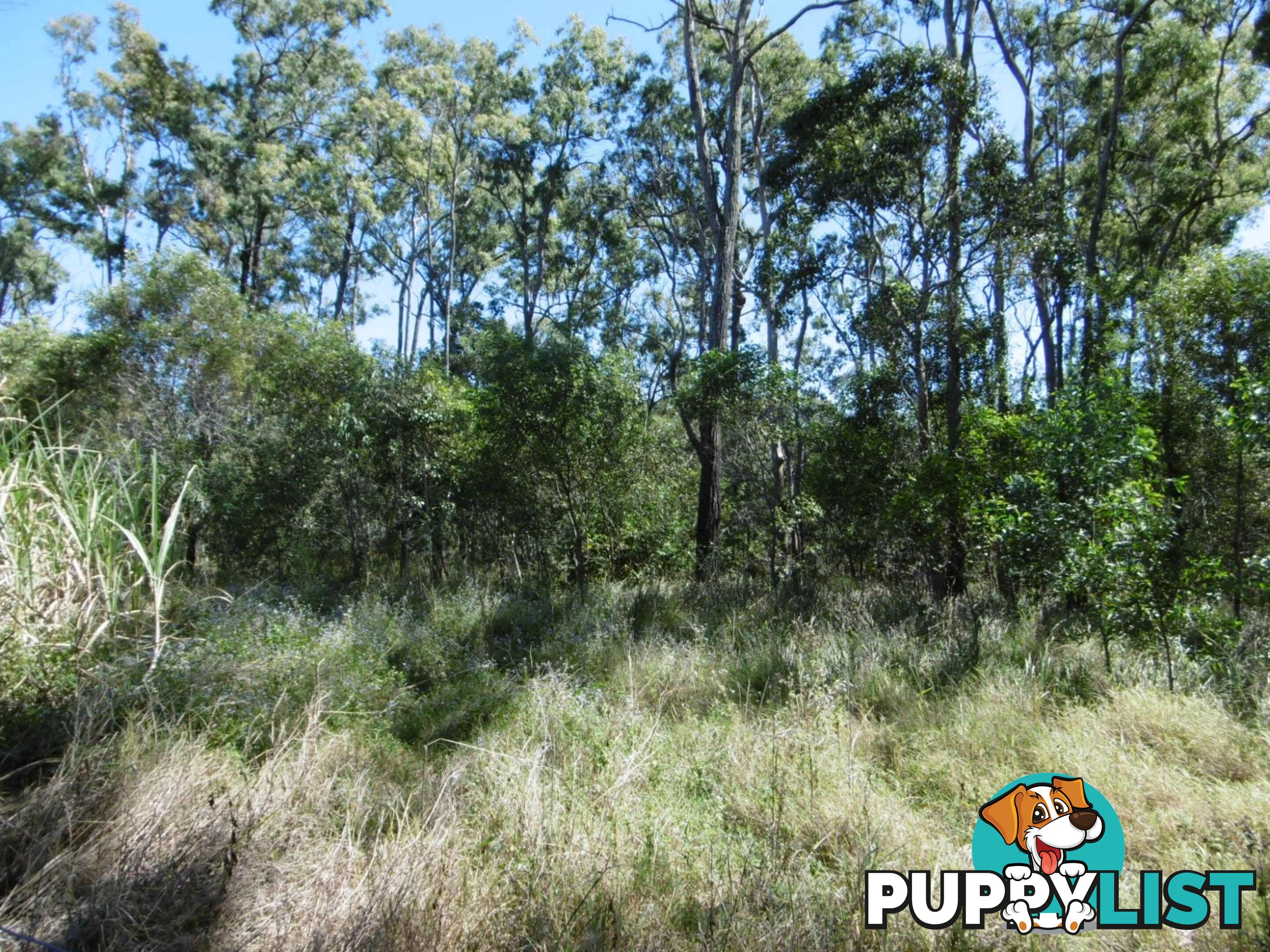 Lot 51 Mullers Road Redridge QLD 4660