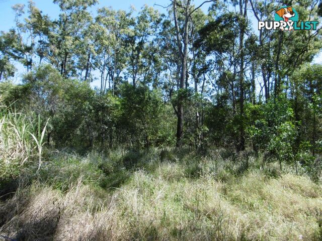 Lot 51 Mullers Road Redridge QLD 4660