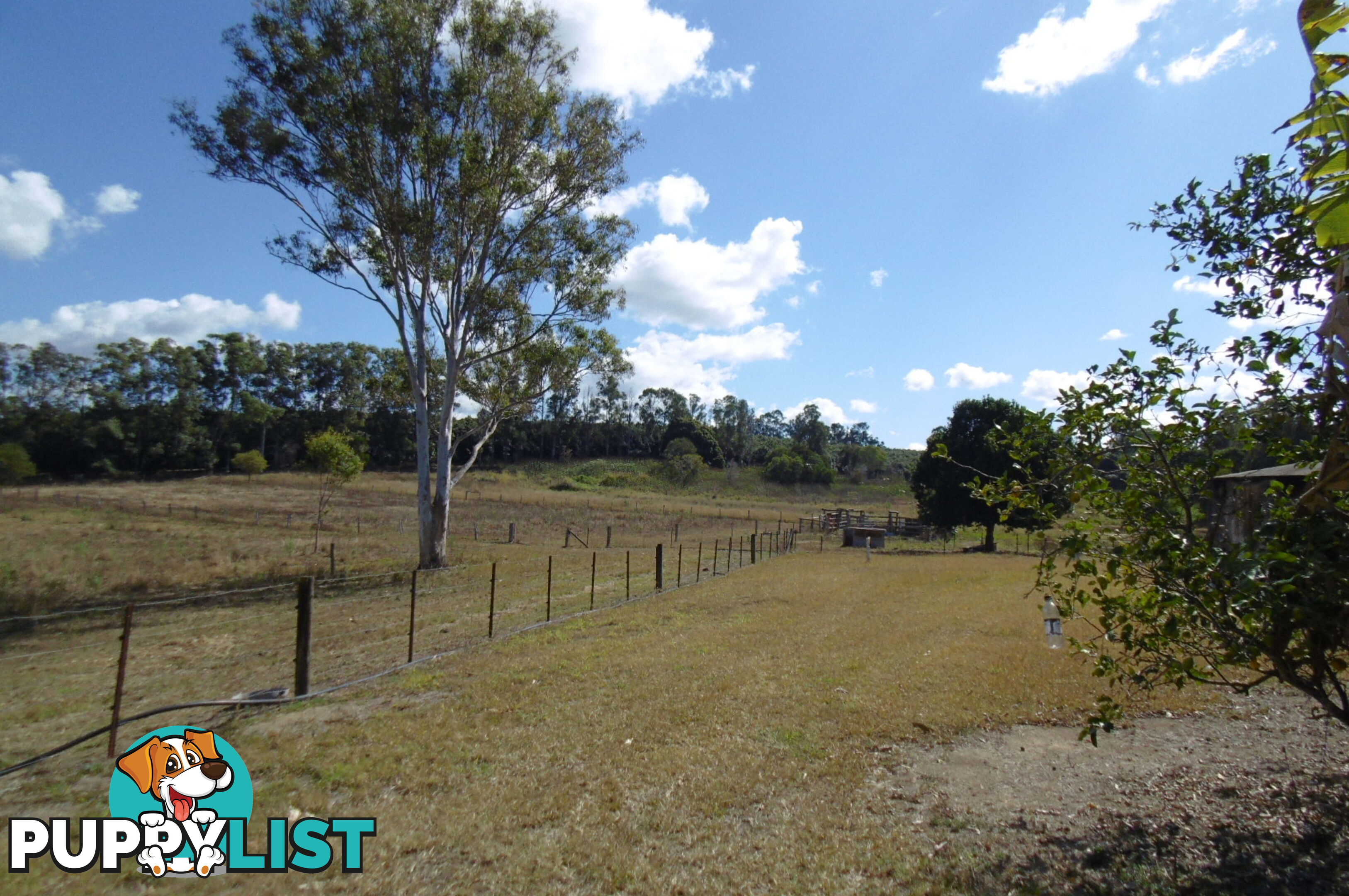 28568 Bruce Hwy Doolbi QLD 4660