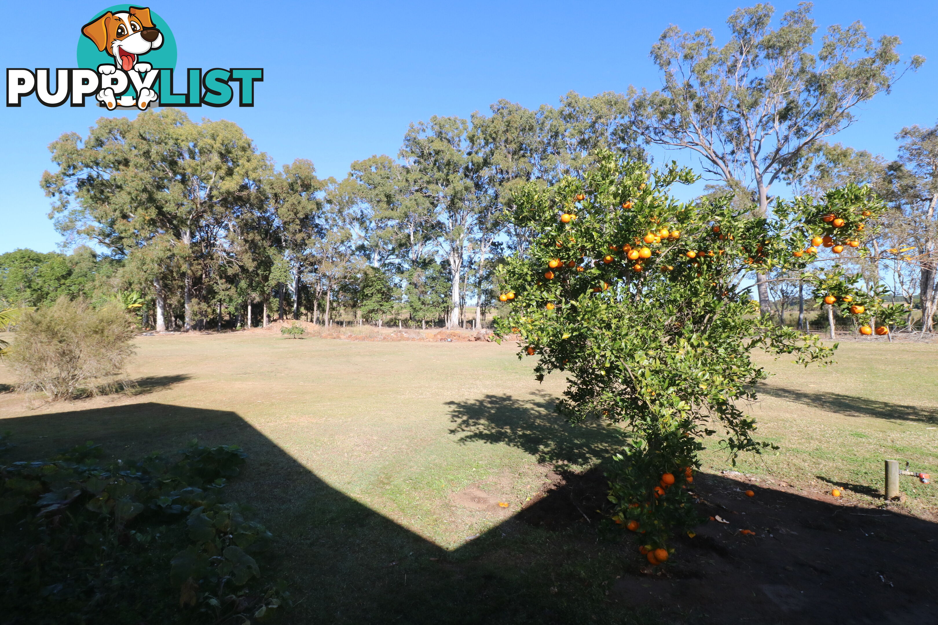 13 Horton St Horton QLD 4660