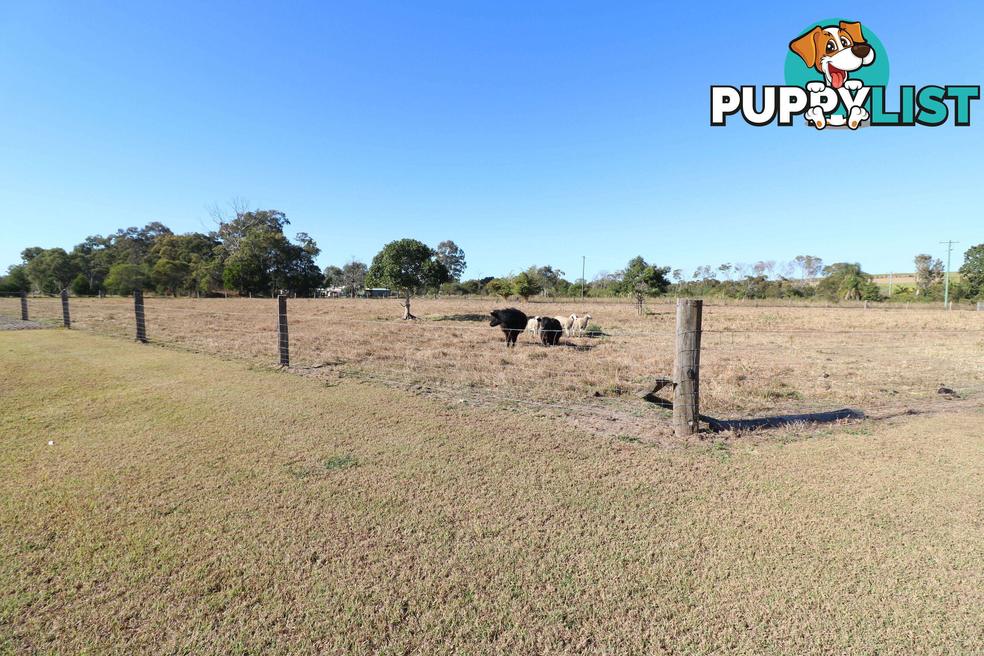 13 Horton St Horton QLD 4660