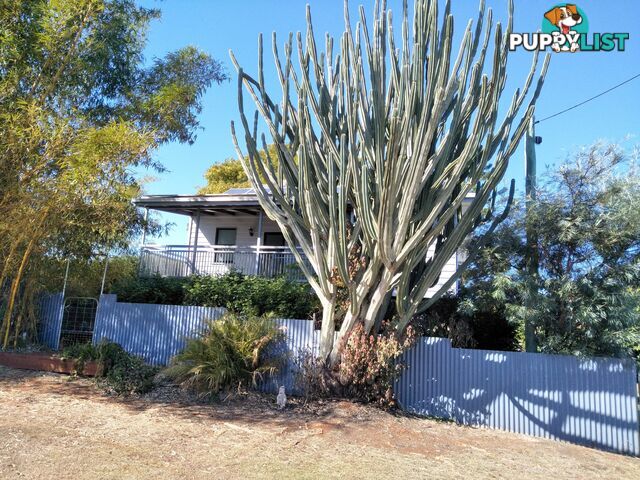 4 Pitt St Cordalba QLD 4660