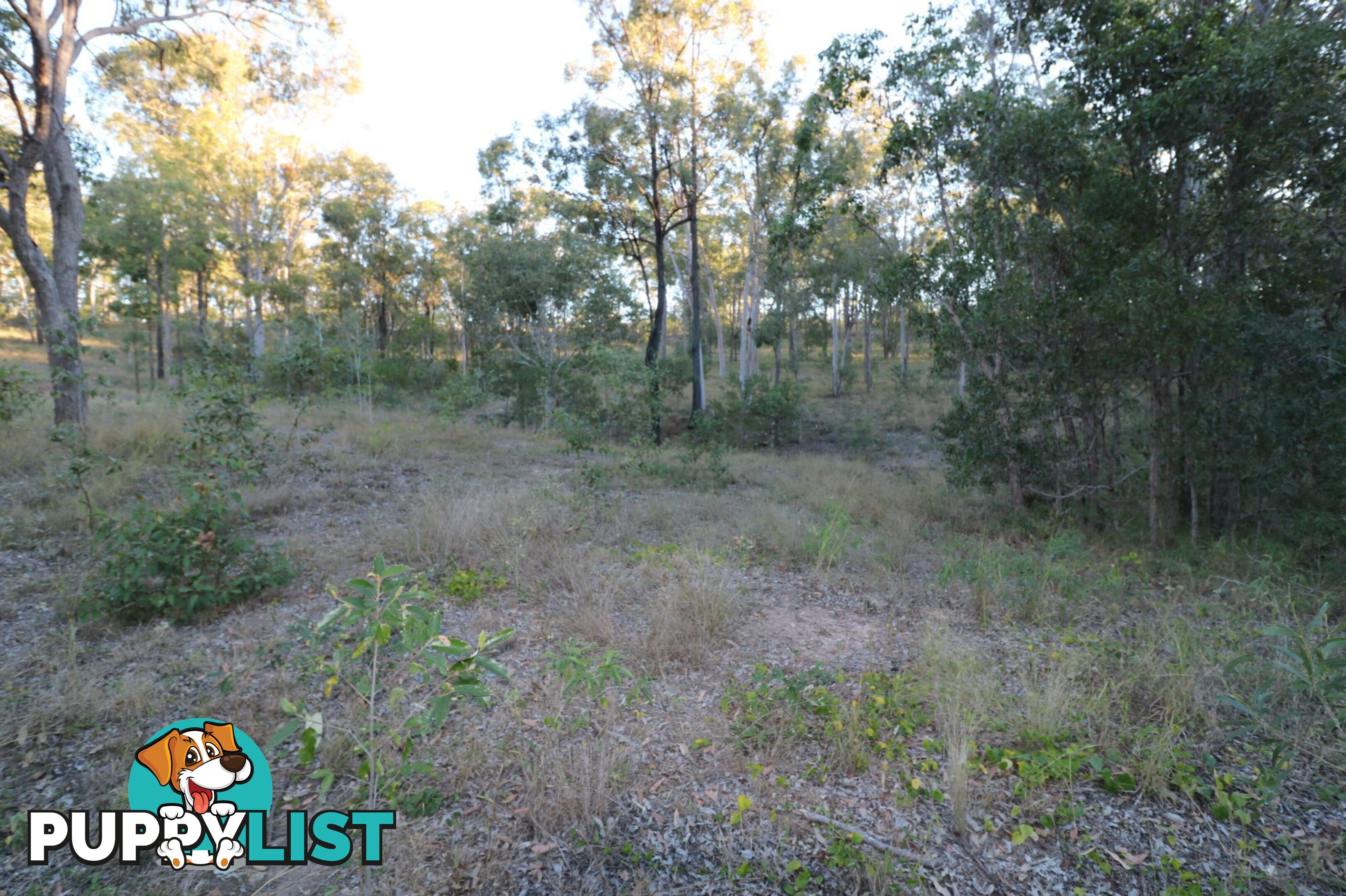 99 Chappell Hills Road South Isis QLD 4660