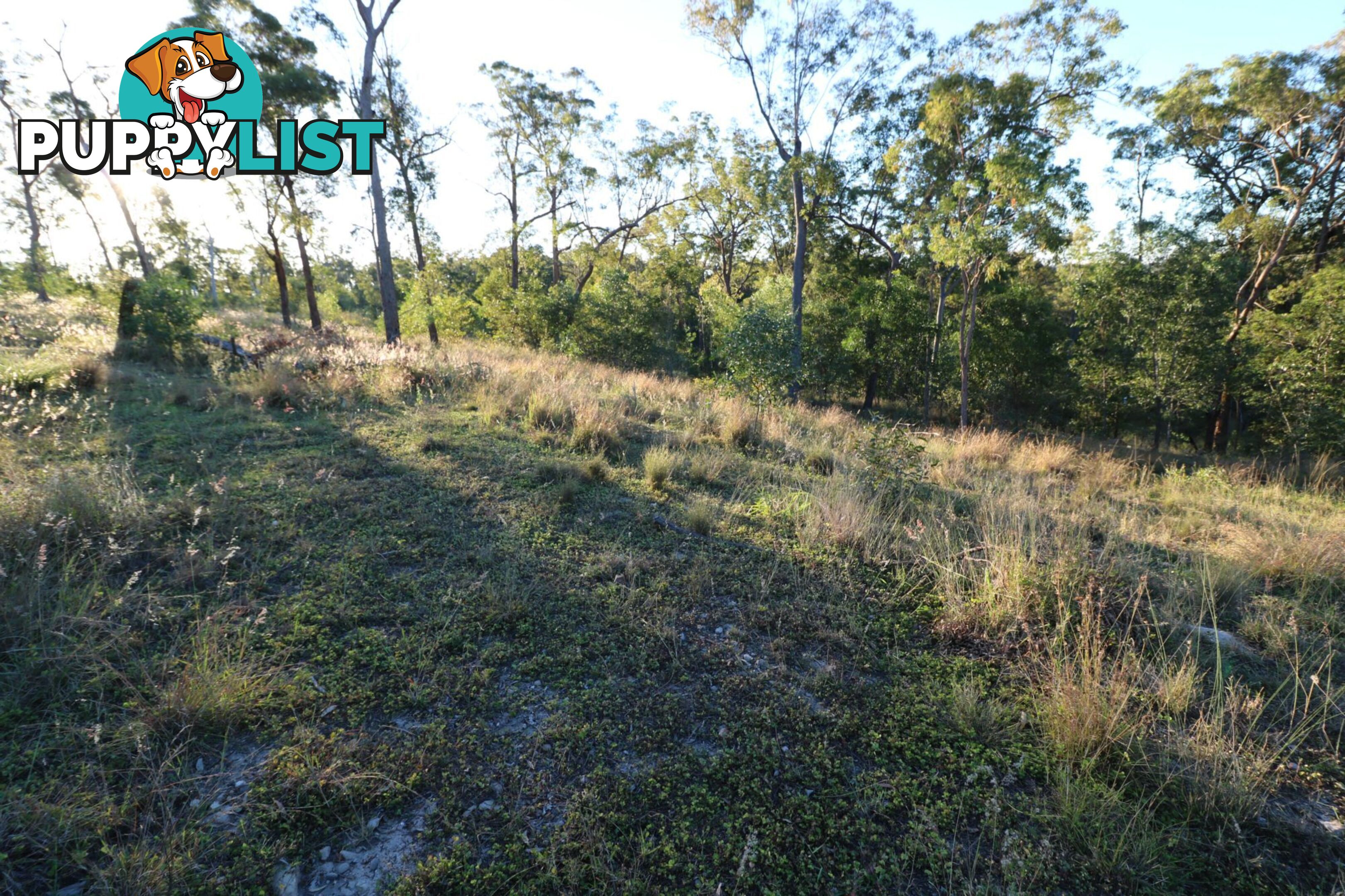 99 Chappell Hills Road South Isis QLD 4660