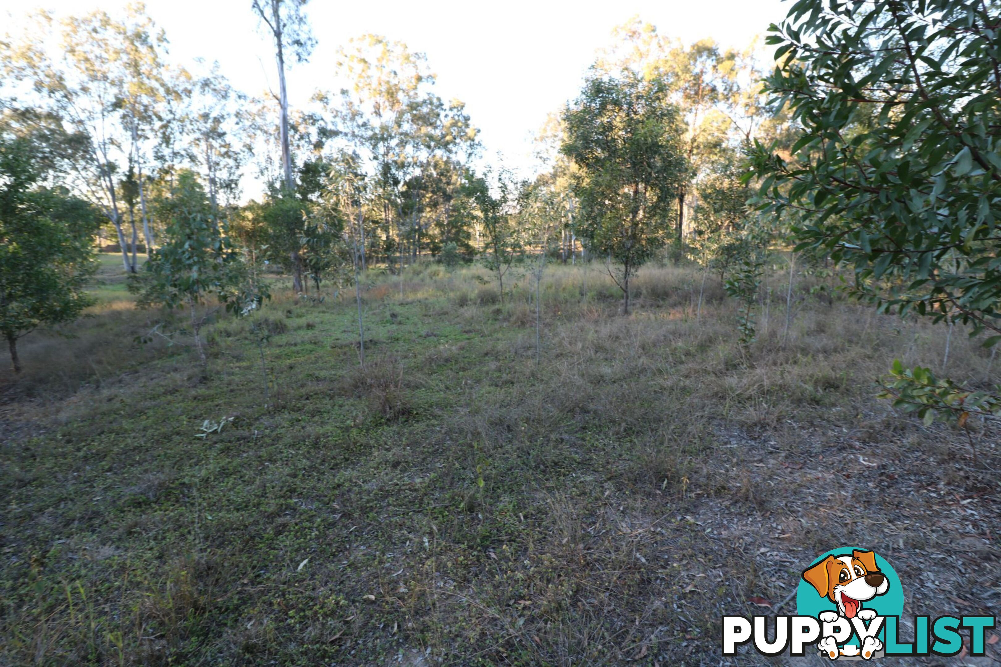 99 Chappell Hills Road South Isis QLD 4660