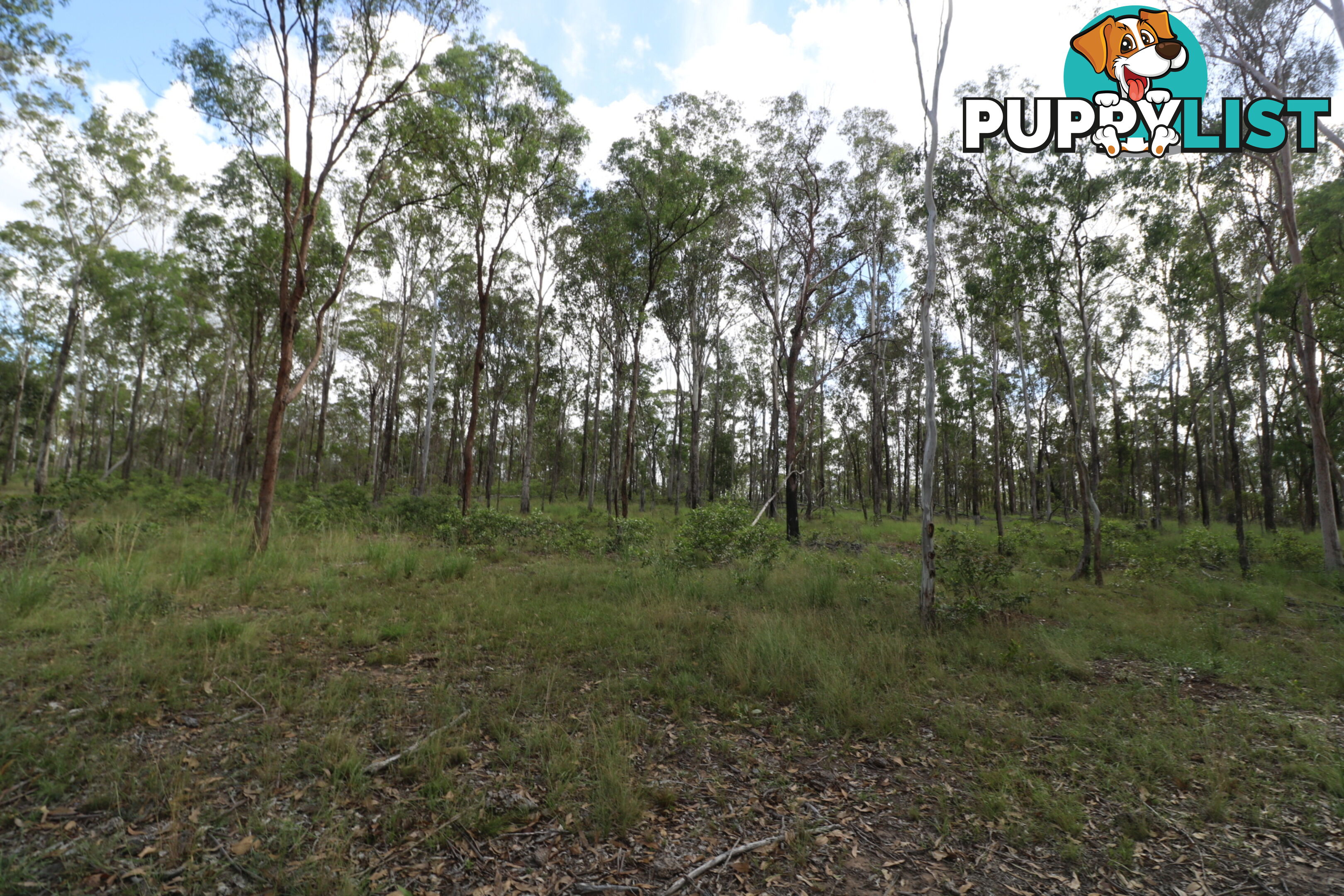 69 Boughtons Rd Bucca QLD 4670